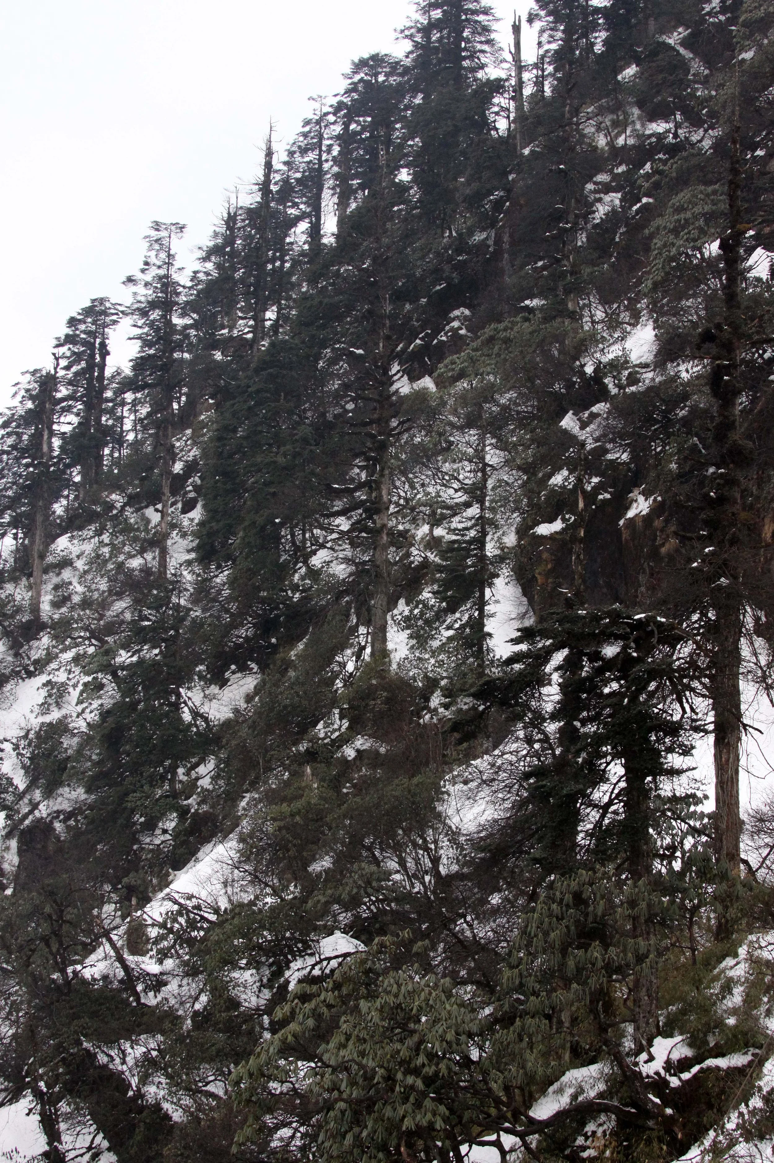 WAWU SHAN GEOPARK - SICHUAN CHINA (18).JPG