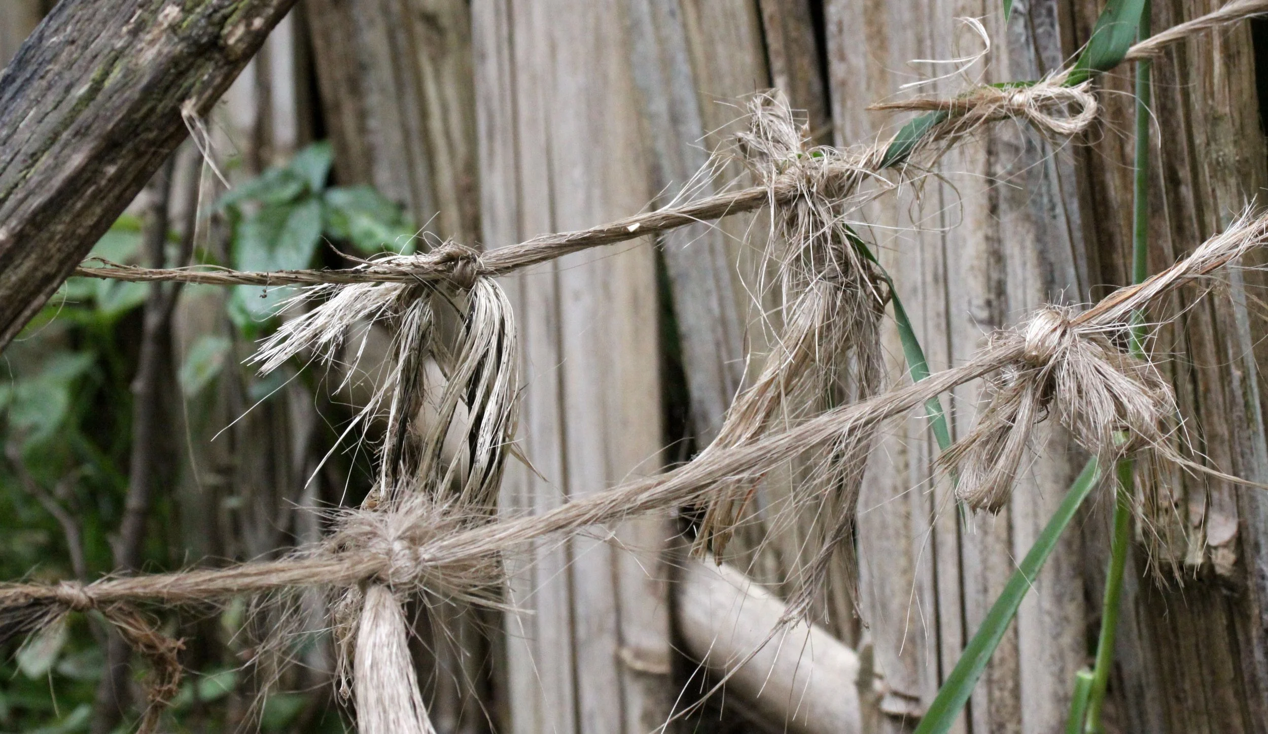 CHENCHA - DORZE VILLAGE - ETHIOPIA (12).JPG