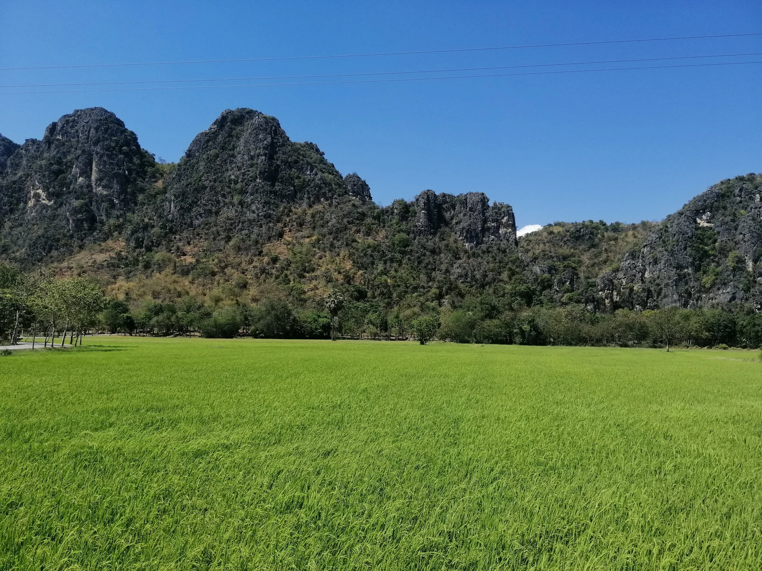 2019 Petchaburi & Cha'am Trip with Cokie & Gift (20).jpg