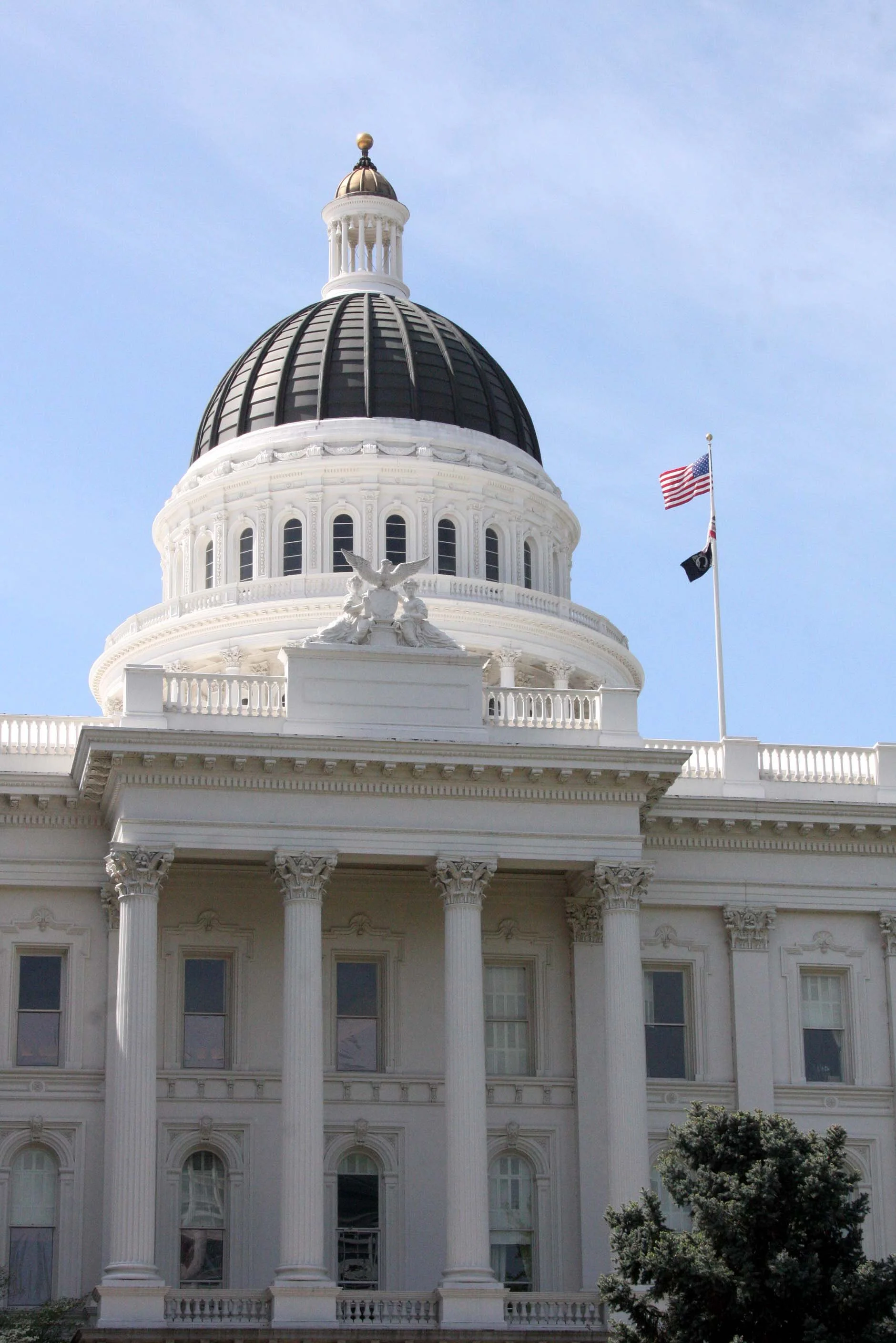 2010-4-9 SACRAMENTO CALIFORNIA - CAPITAL BUILDING (14).JPG