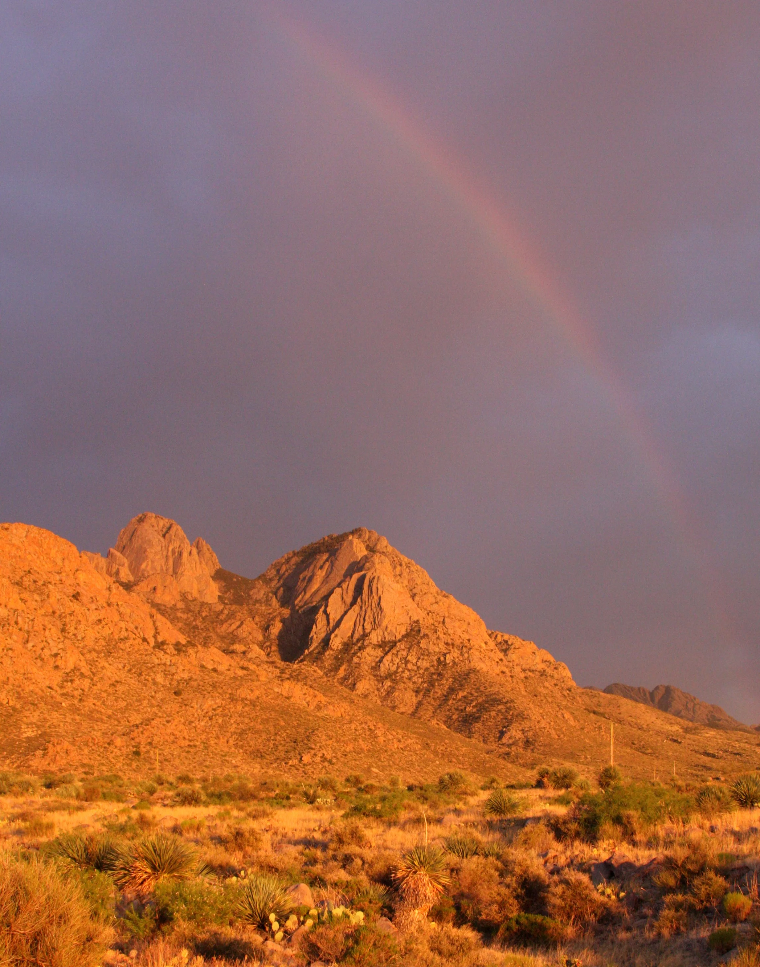 LAS CRUCES NEW MEXICO - ORGAN MOUNTAINS (17).JPG