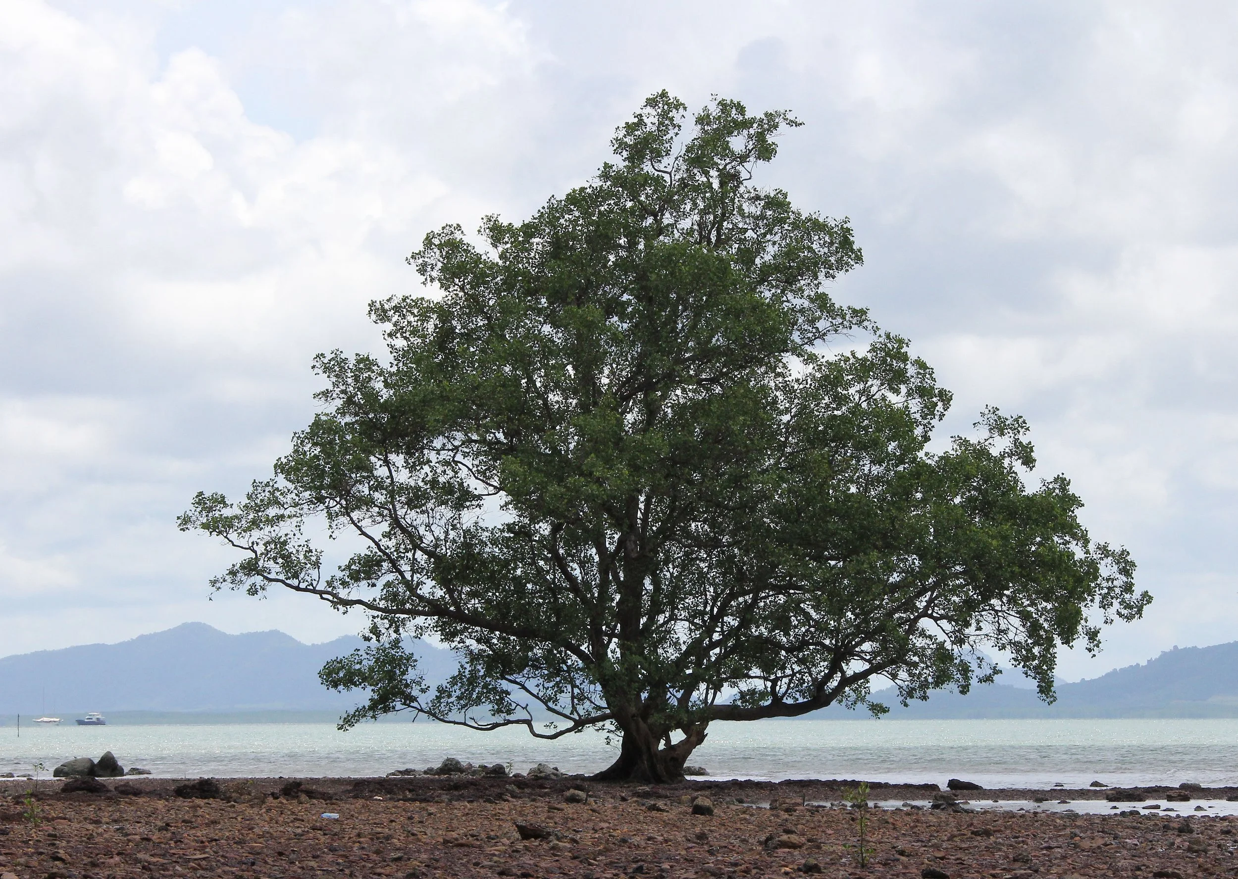 2016 Koh Lanta Landscapes, House Pictures and Family Fun (208).JPG
