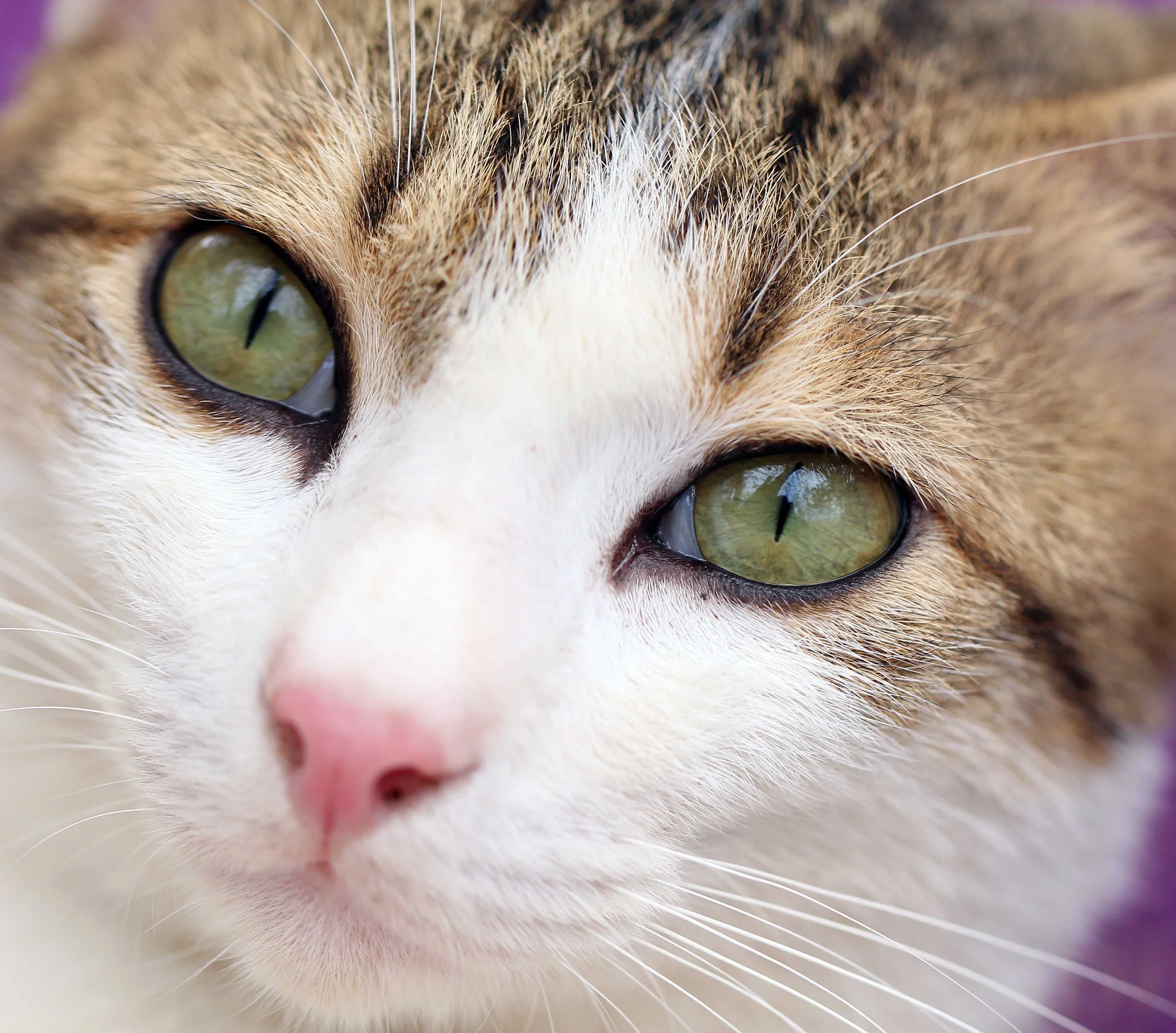 2015 Koh Lanta Songkran with friends from ISB (372).JPG