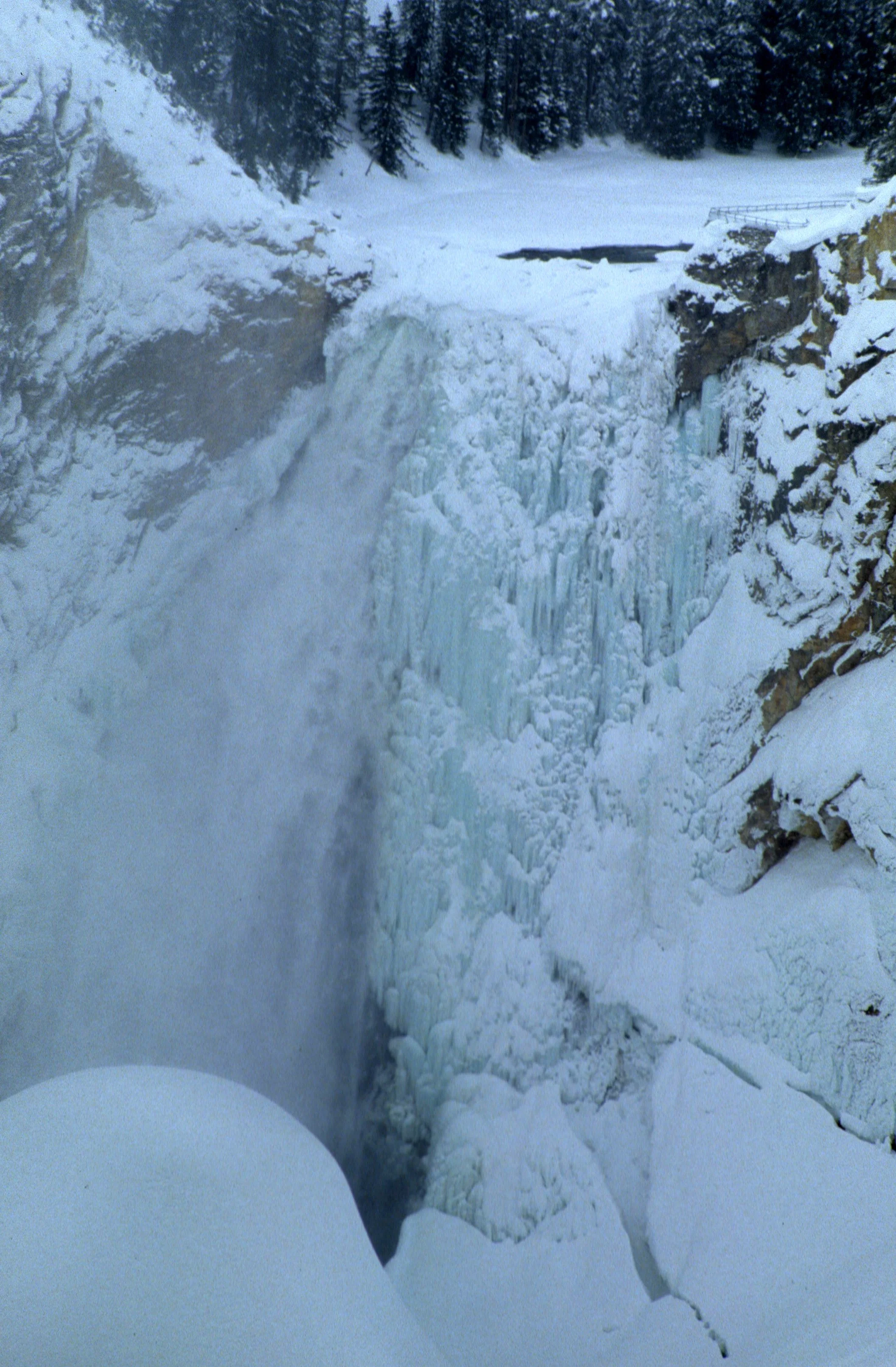 YELLOWSTONE IN WINTER BB.jpg