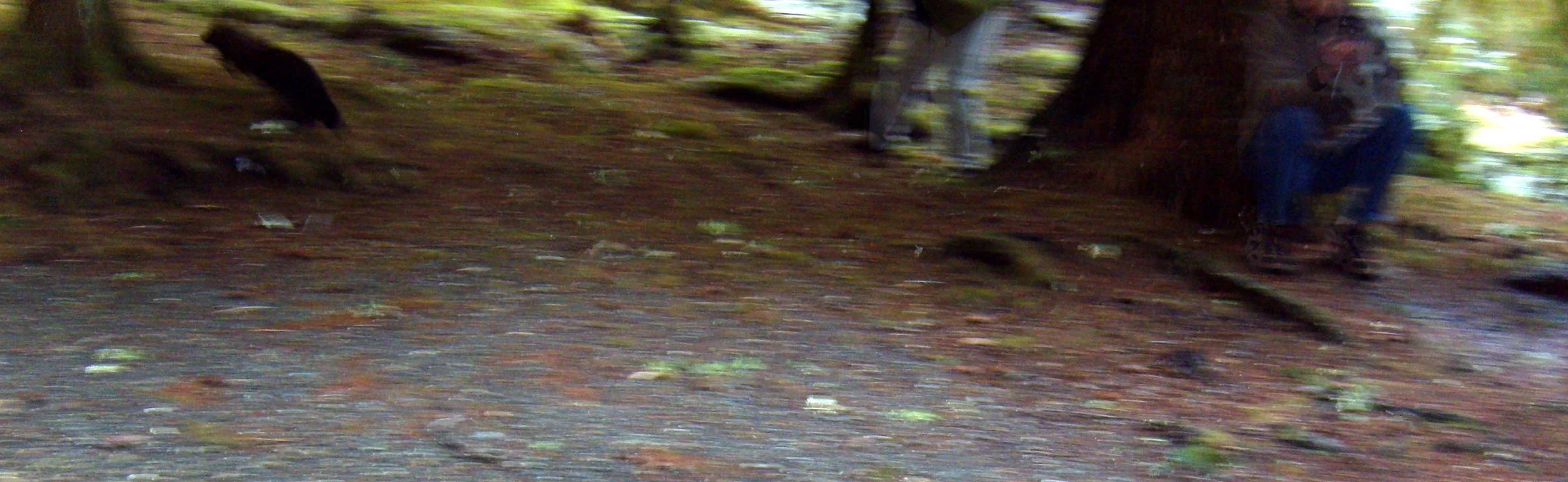 2009-12-20 - BEING GOOFY (16).JPG