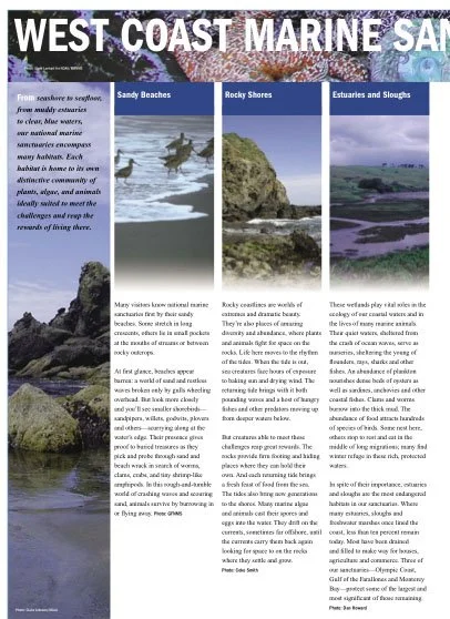 CALIFORNIA - CHANNEL ILANDS - GUIDE IMAGE OF MINE.jpg