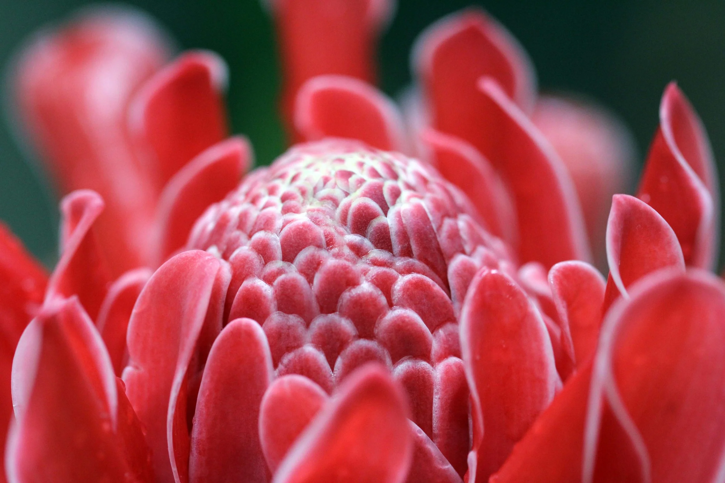 2013 in Nakhonsithammarat and some Krabi with Family (30).JPG