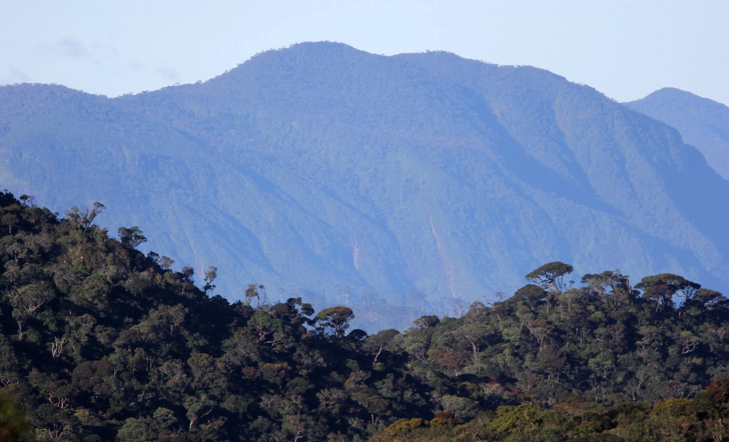 HORTON PLAINS NATIONAL PARK SRI LANKA (15).JPG