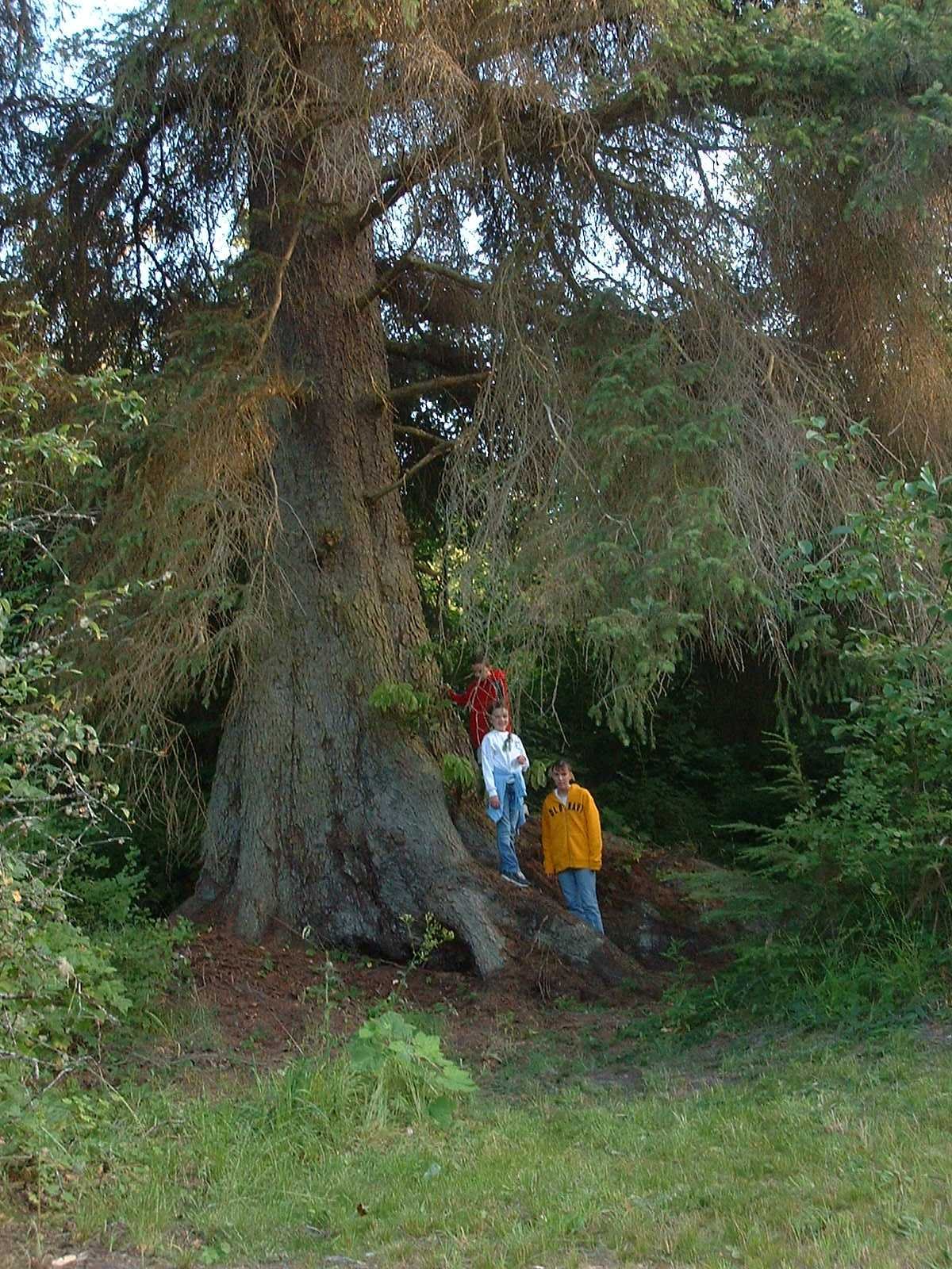 2003-8-1 WASHINGTON VISIT FROM ROBINSONS ET AL (8).JPG