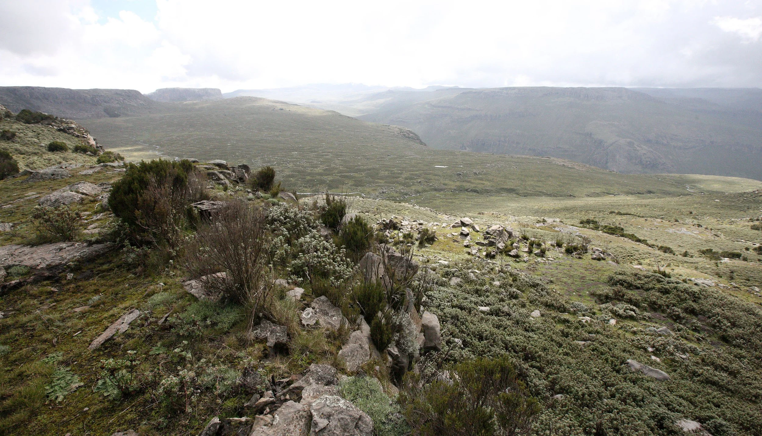 BALE MOUNTAINS NATIONAL PARK - SANETTI PLATEAU (37).JPG