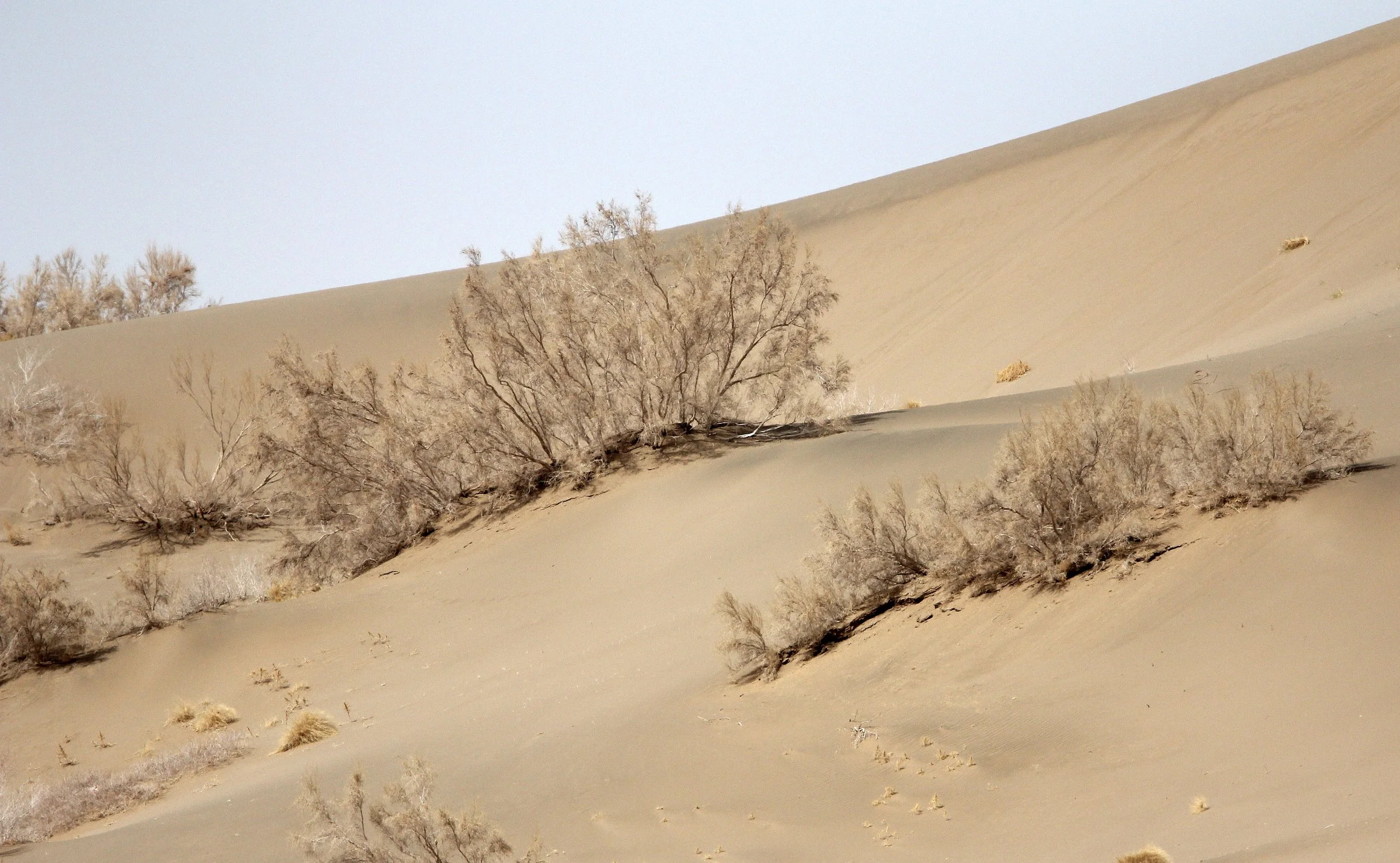 GANSU - DUNES SOUTH OF DUNHUANG - CHINA (39).JPG