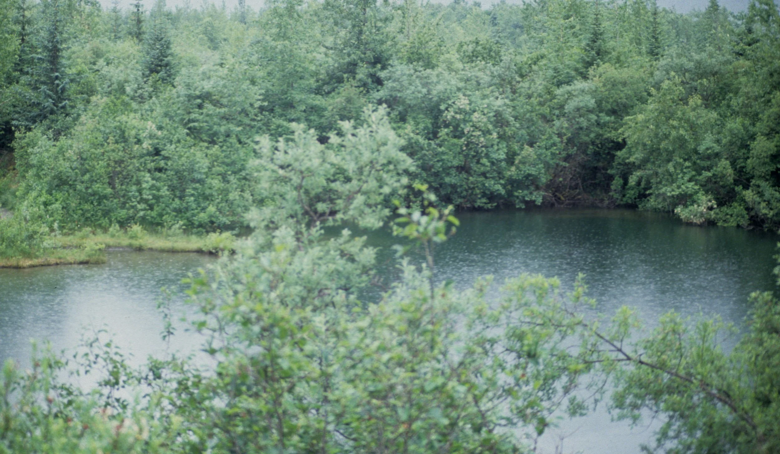 ALASKA - GLACIAL POND.jpg