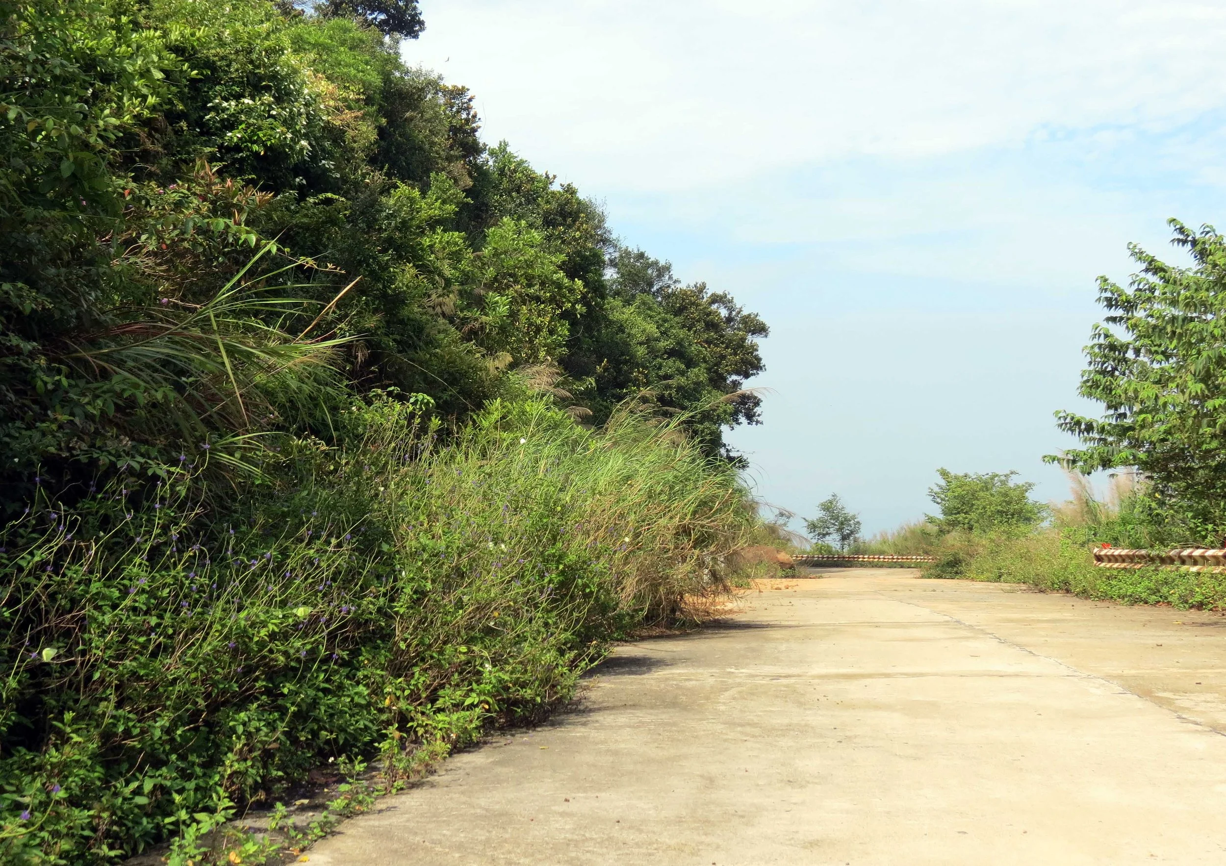 SON TRA PENINSULA - COKIE'S IMAGES (35).JPG