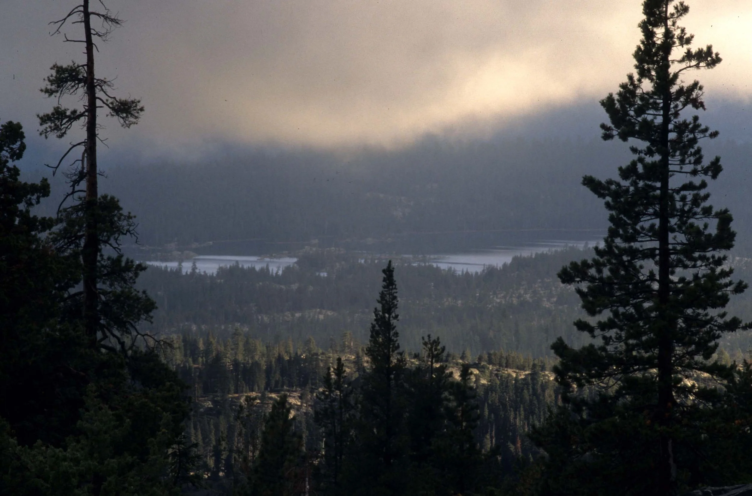 CALIFORNIA - SIERRA NEVADA MOUNTAINS (15).jpg