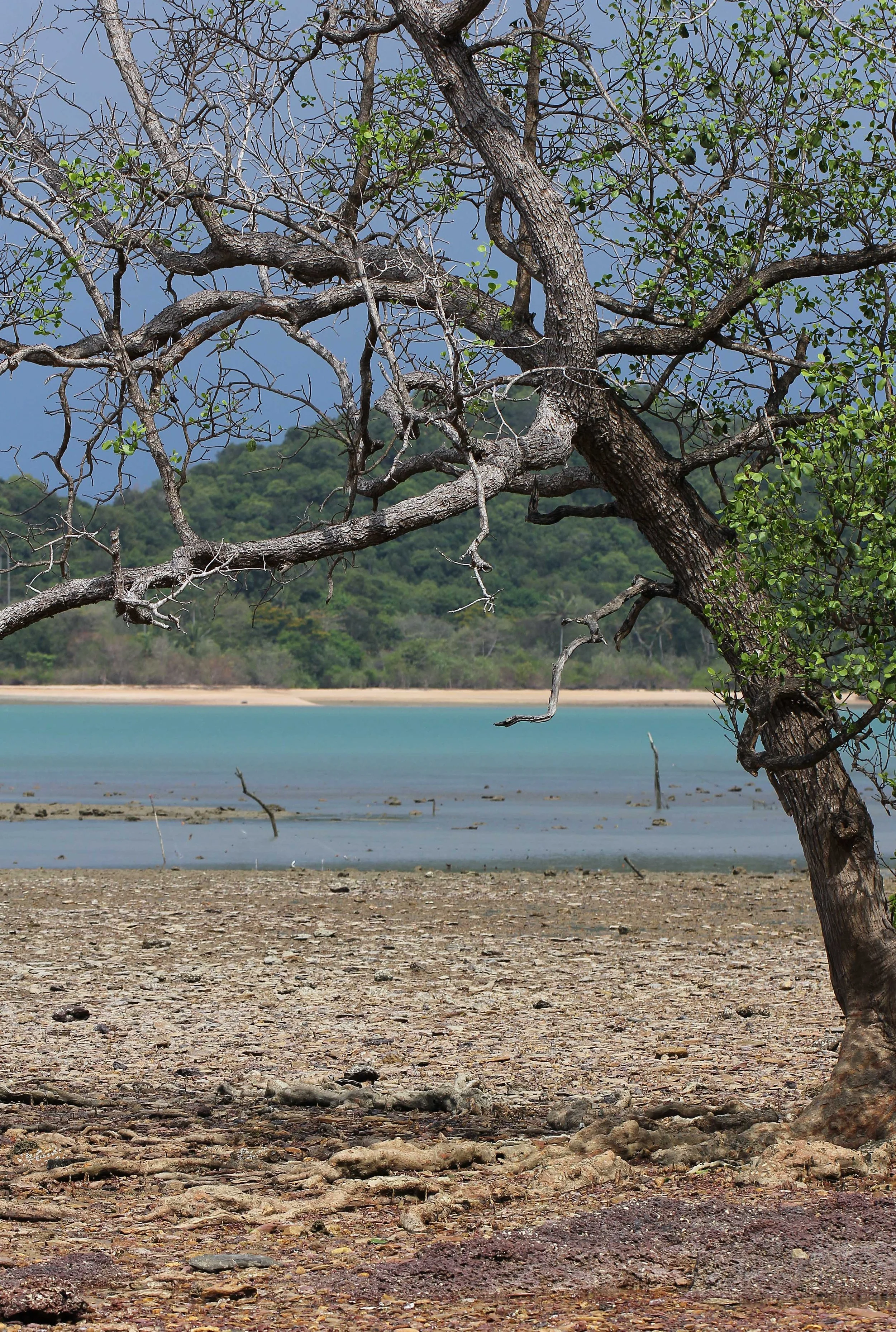2015 Koh Lanta Songkran with friends from ISB (355).JPG