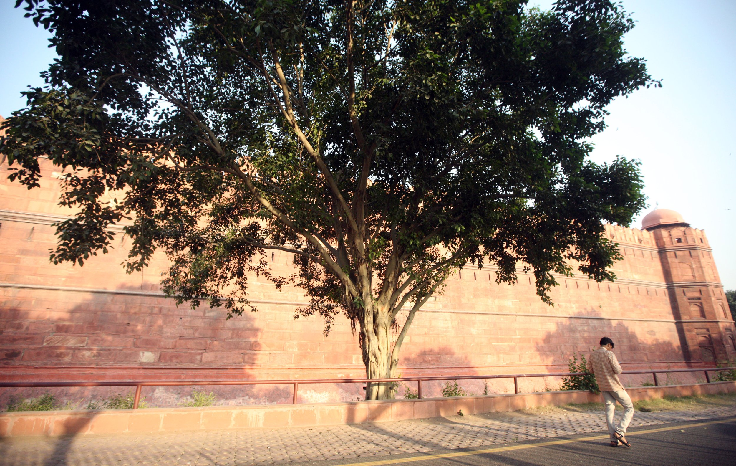 OLD DELHI INDIA - SNOW LEOPARD TRIP 2014 (38).JPG