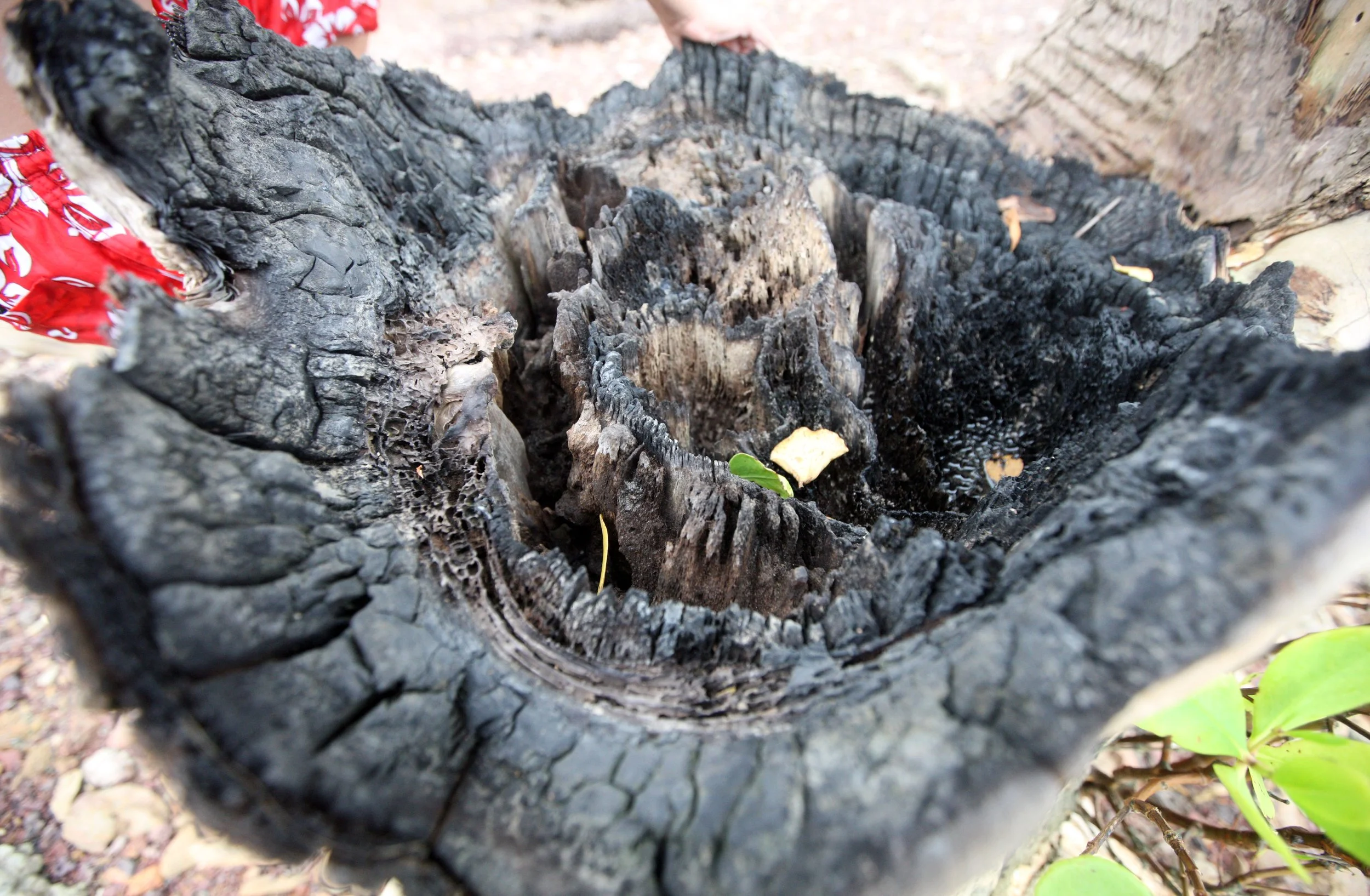 2014 Lanta Summer Fun (118).JPG