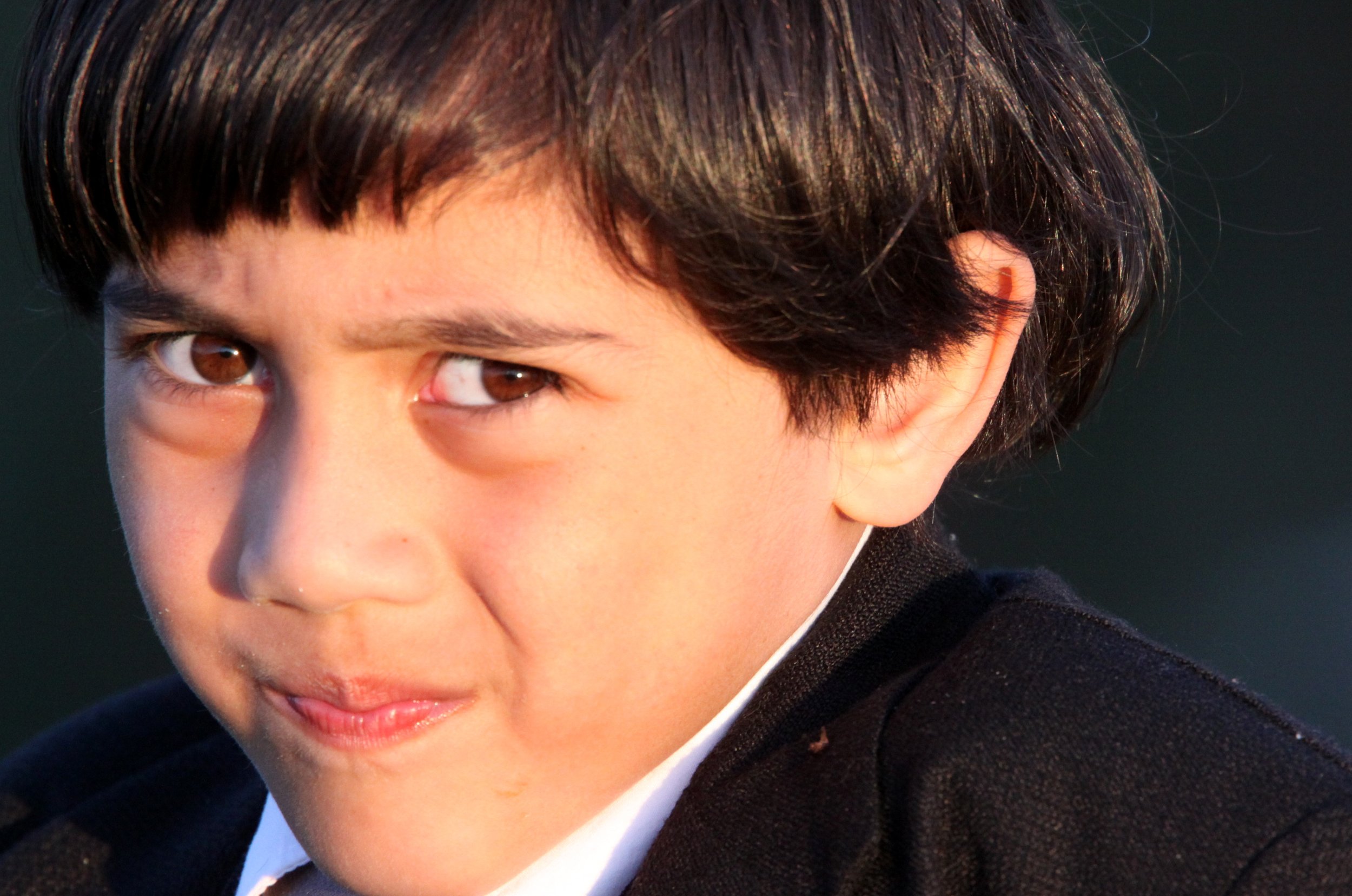 2009-6-13 COKIE ON THE RIDGE.JPG