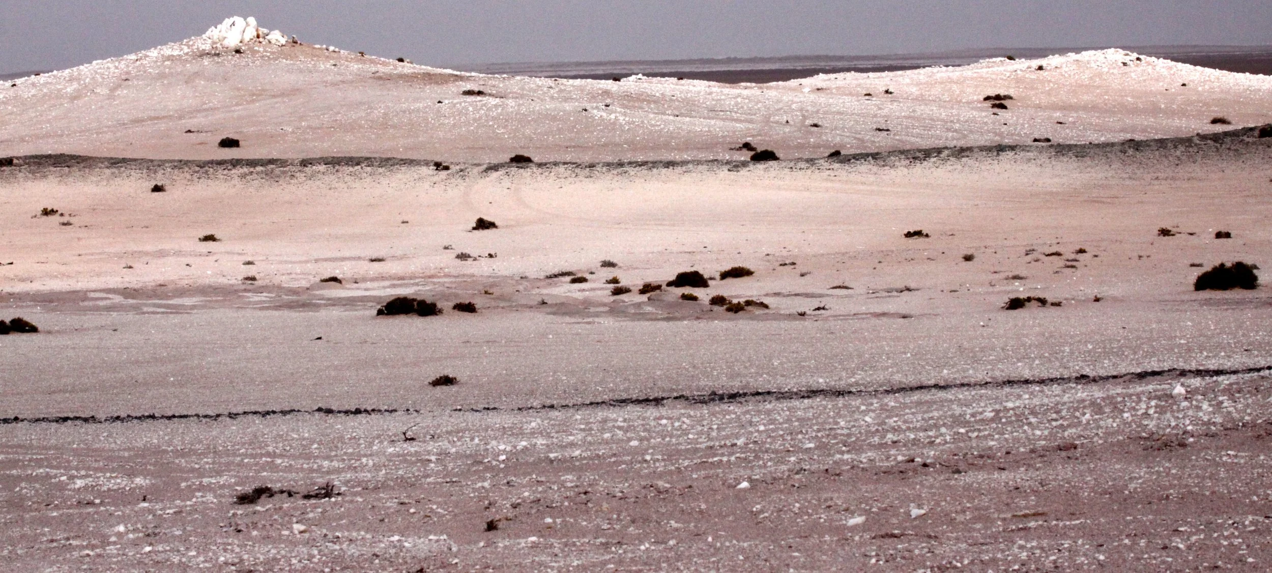 NAMIBIA - SKELETON COAST NATIONAL PARK - SCENERY (27).JPG