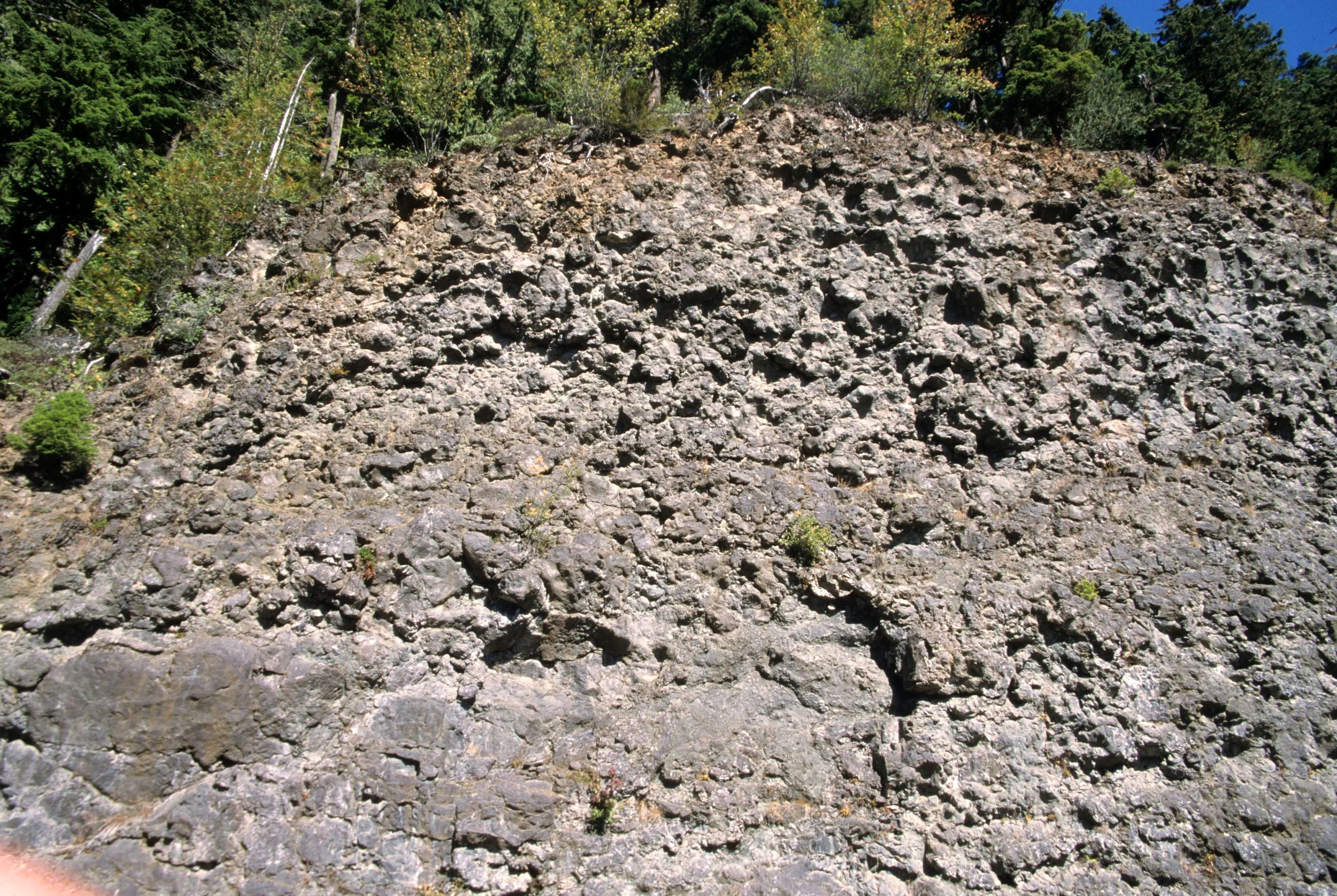GEOLOGY - CRESCENT FORMATION BASALTIC PILLOWS .jpg