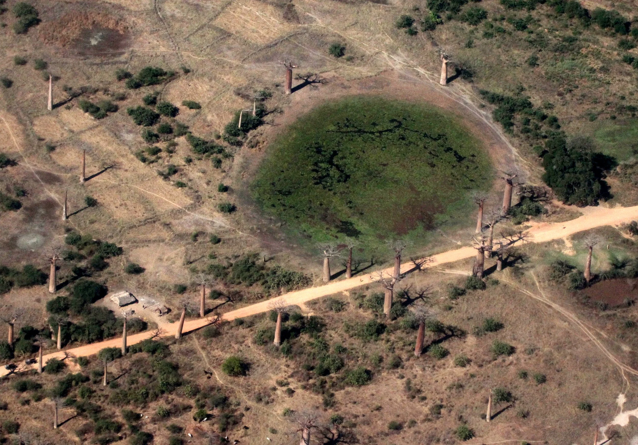 MODONDAVA MADAGASCAR - AVENUE DU BAOBABS FROM THE AIR.JPG