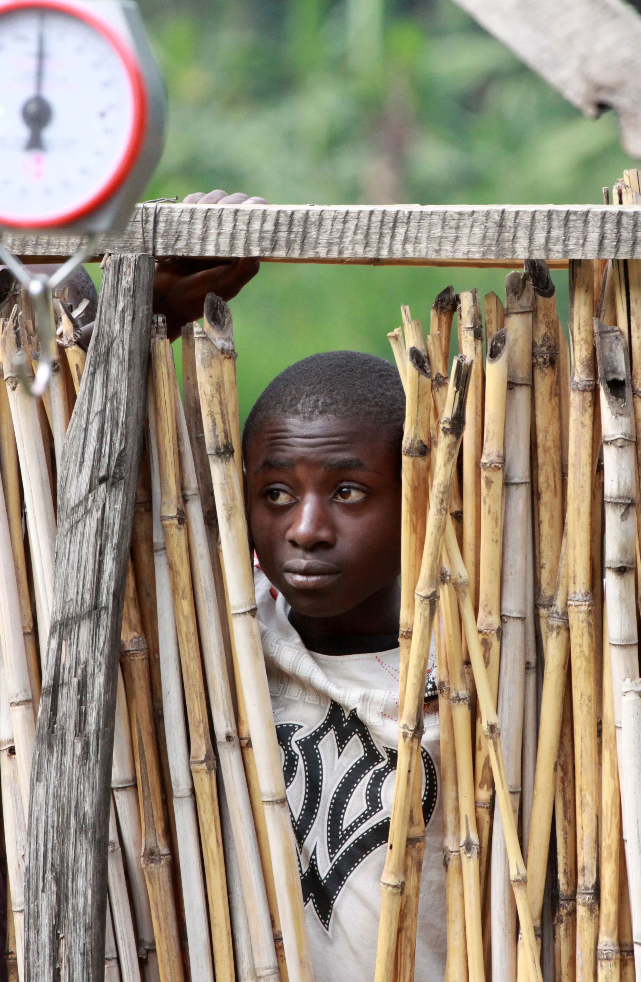 RWENZORI NATIONAL PARK UGANDA (302).JPG