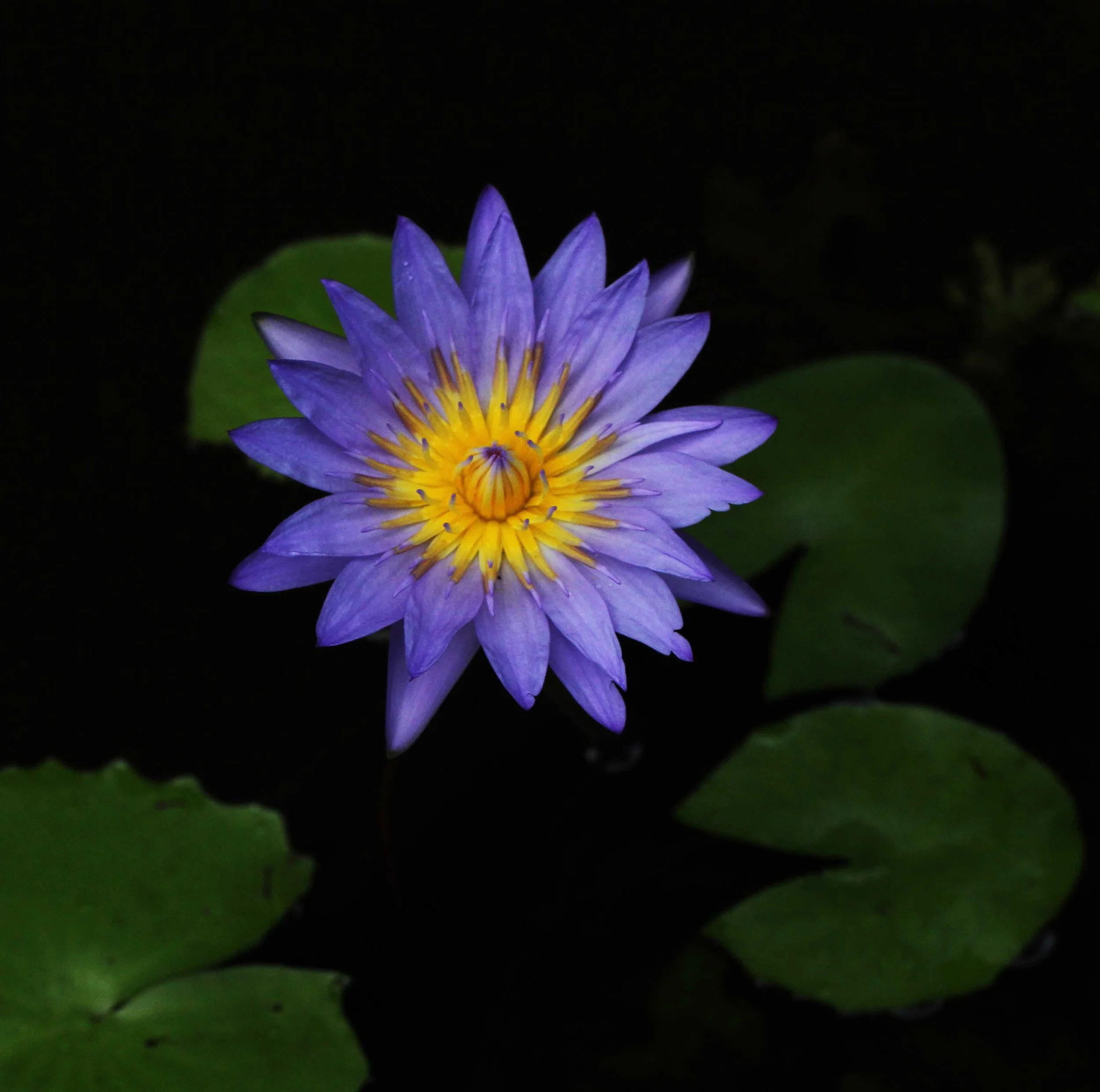 2015 Koh Lanta Songkran with friends from ISB (716).JPG