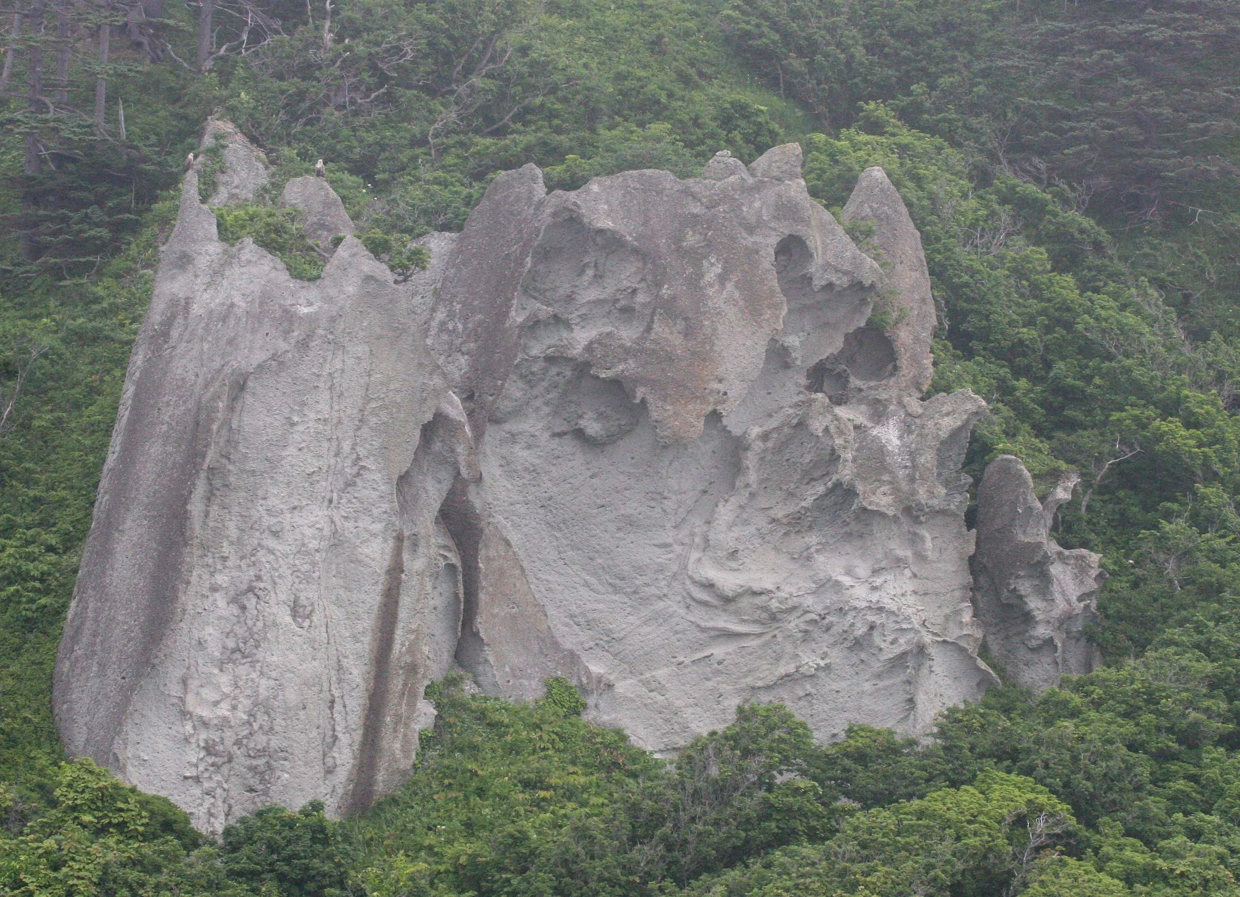 Haliaeetus albicilla - WHITE-TAILED SEA EAGLE - KURIL ISLANDS RUSSIA (16).jpg