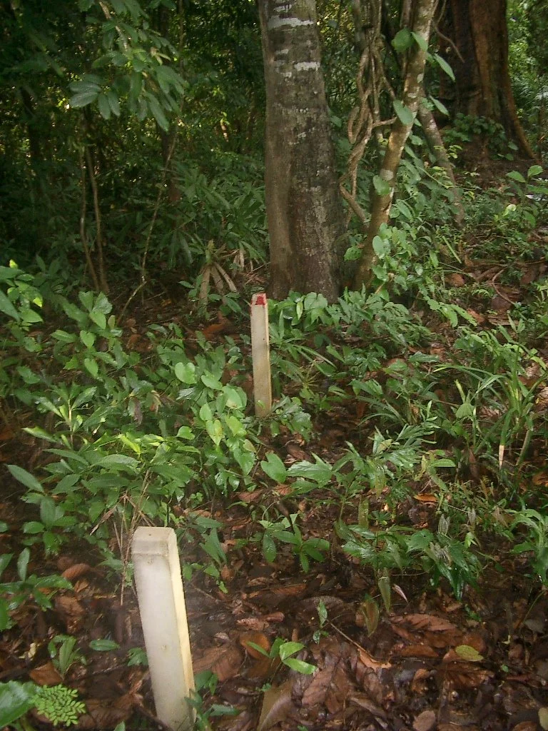 KOH LANTA - PROPERTY - 2004 (70).JPG