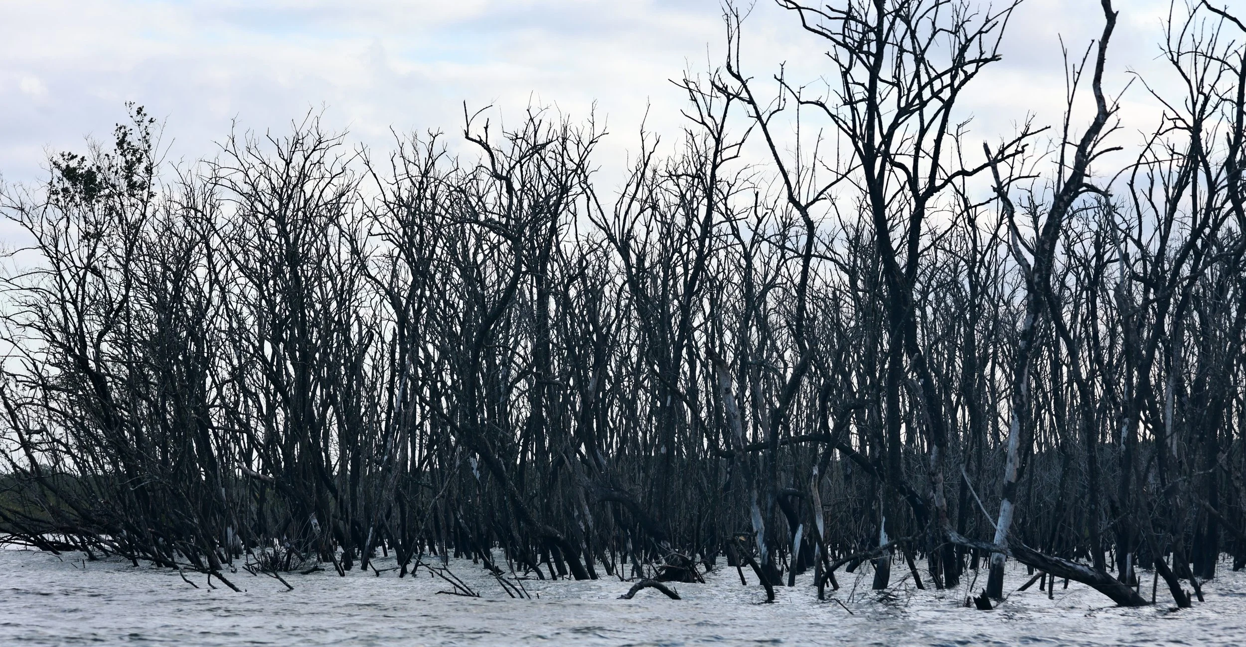 Superagüi National Park