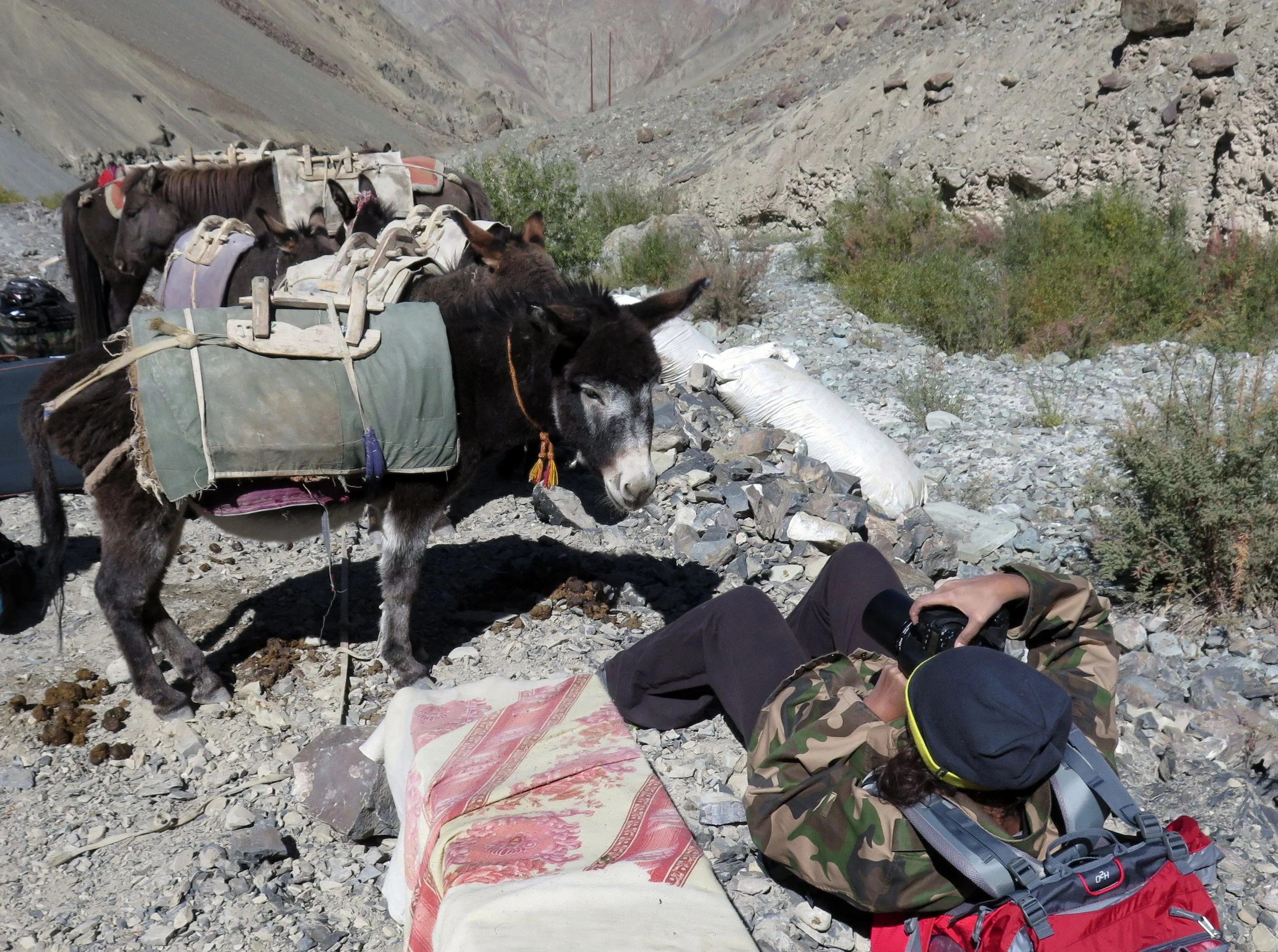 HEMIS NATIONAL PARK - LADAKH INDIA - JAMMU & KASHMIR NEAR RUMBAK VILLAGE (509).JPG
