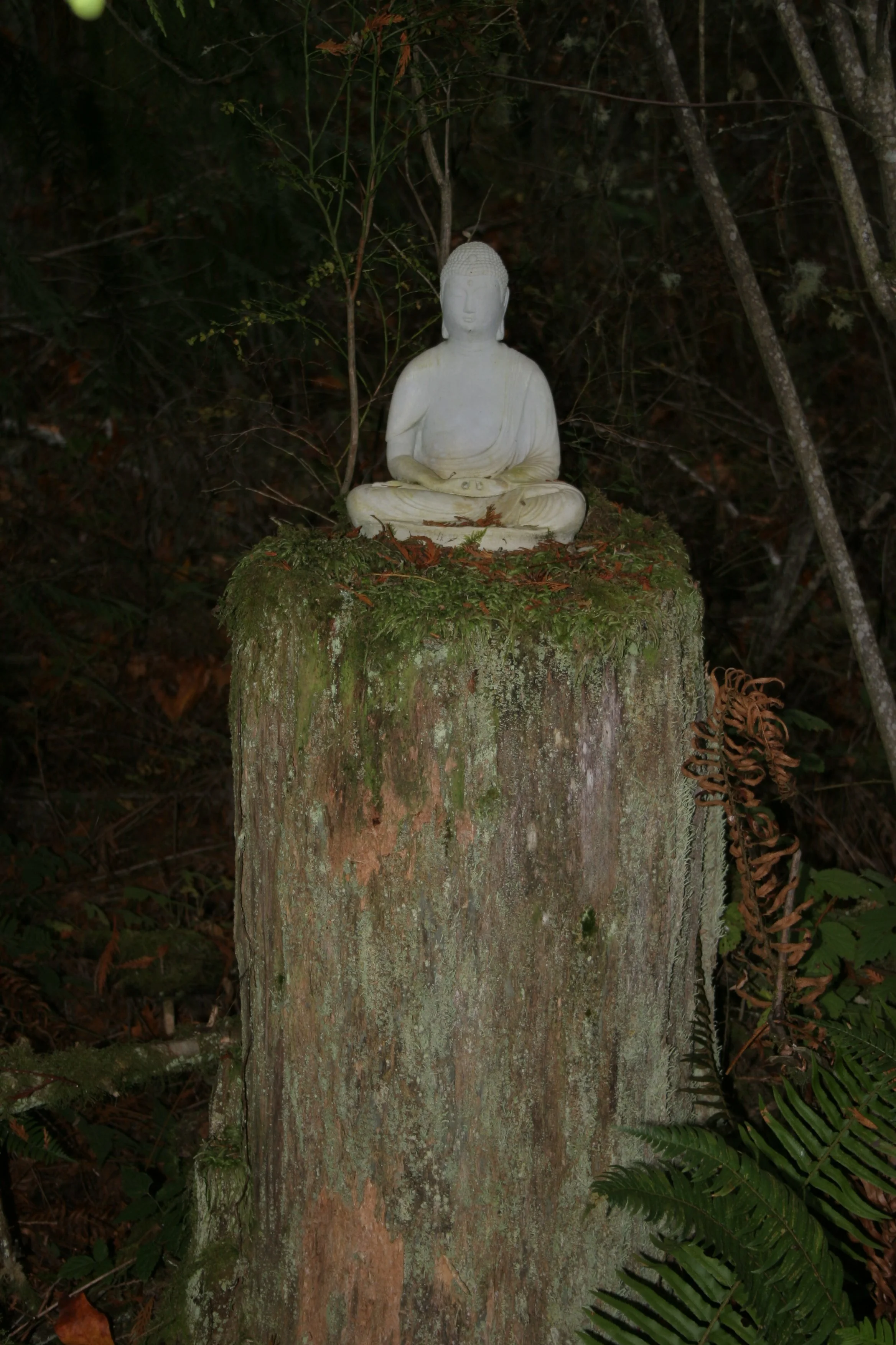 2004-10-31 BUDDHA IN BACK.jpg