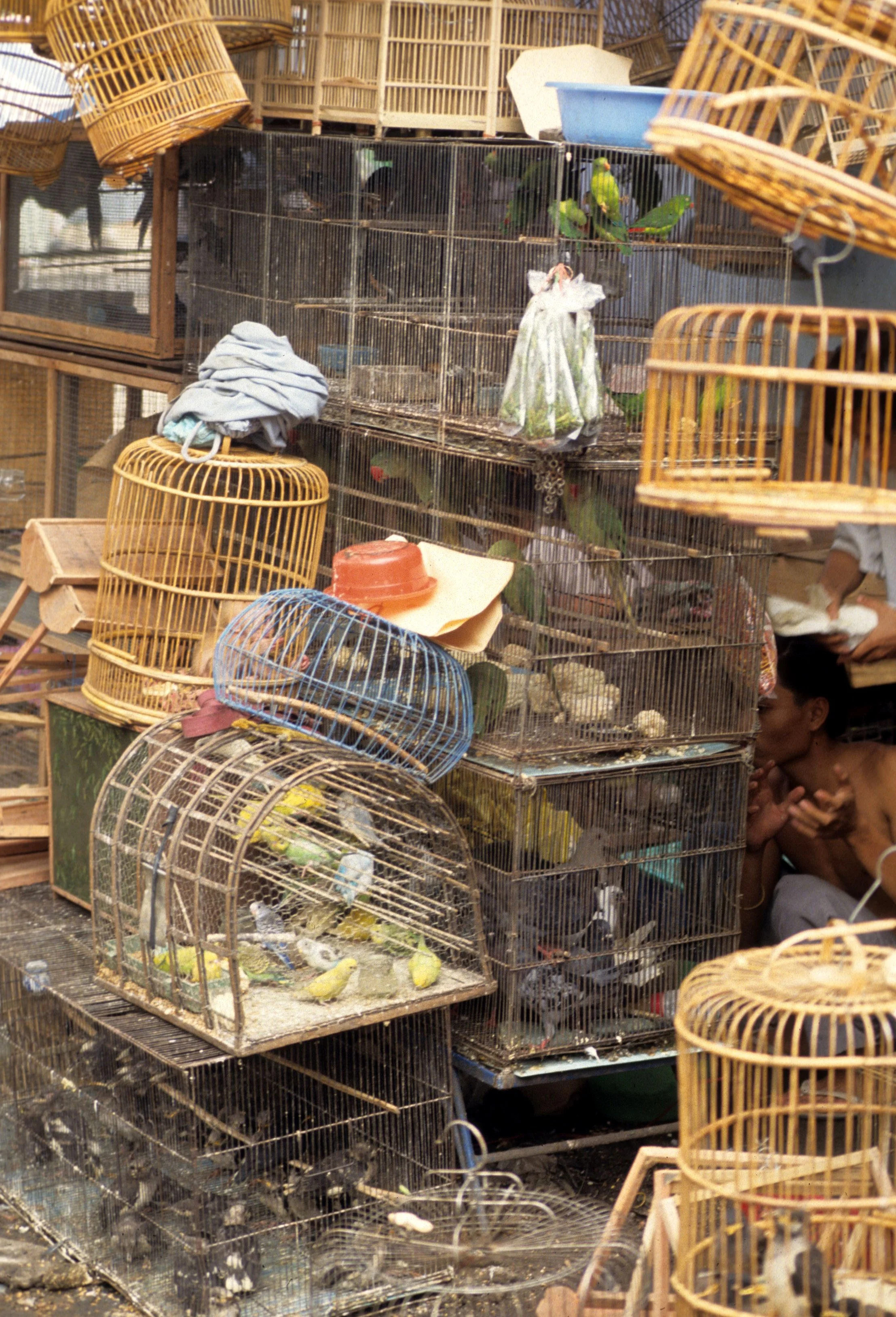 SAIGON - PET MARKET.jpg