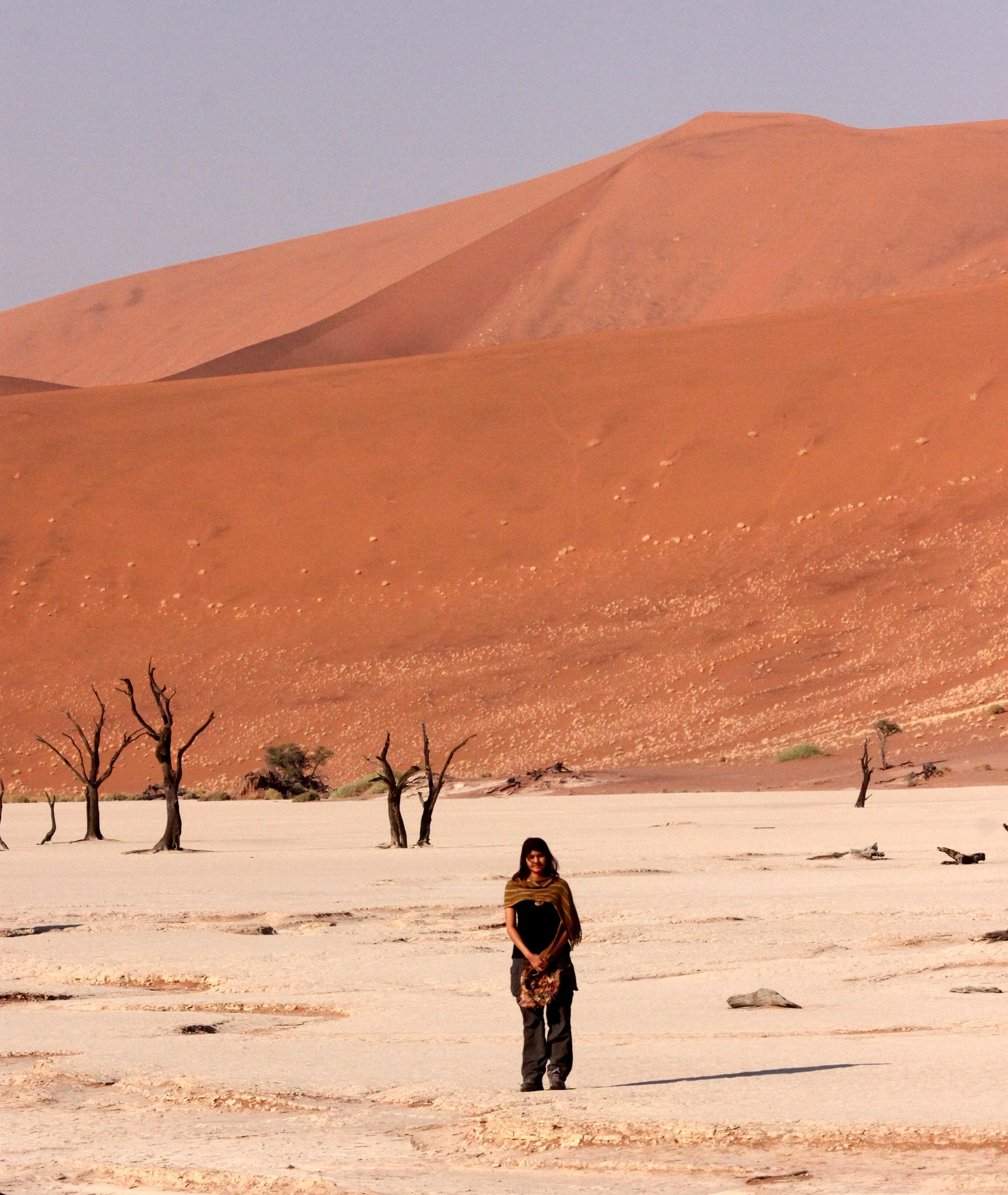SOSSUSVLEI, NAMIB NAUKLUFT NATIONAL PARK, NAMIBIA - DEAD VLEI (72).JPG