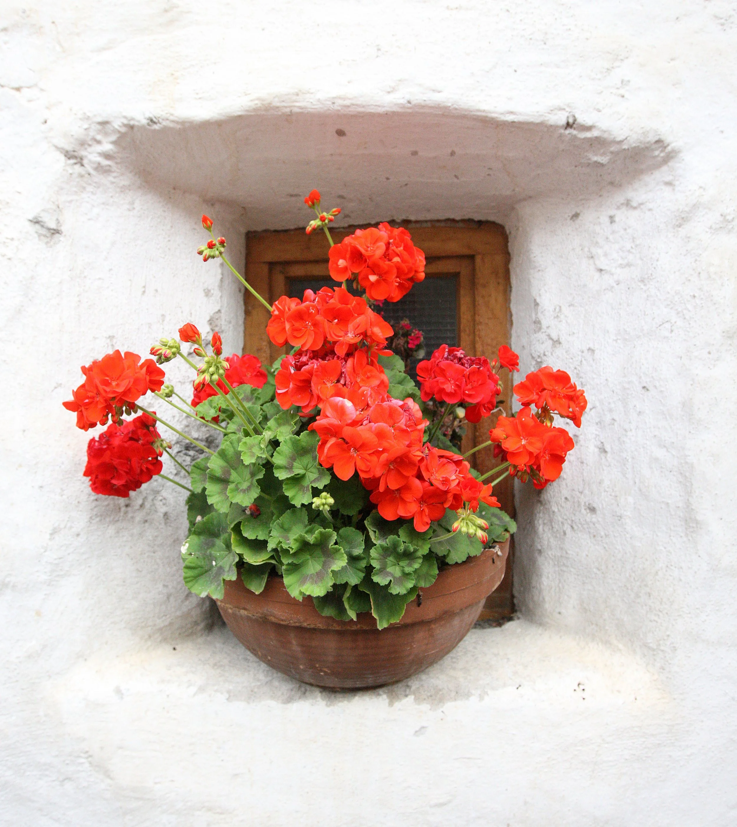 PRATO ALLO STELVIO - PRAD AM STILFSERJOCH ITALY (17).JPG