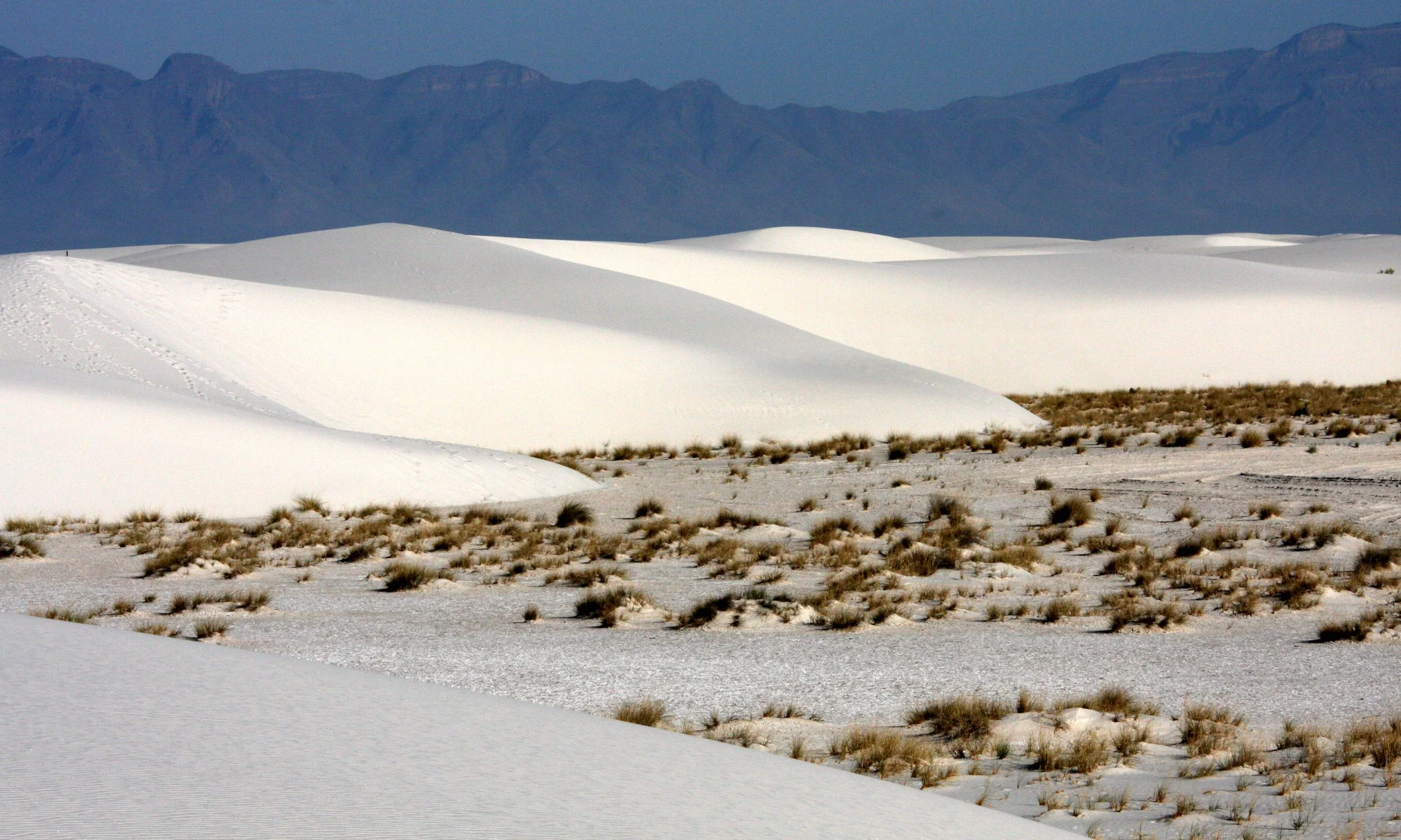 WHITE SANDS NATIONAL MONUMENT - JUNE 2010 (20).JPG