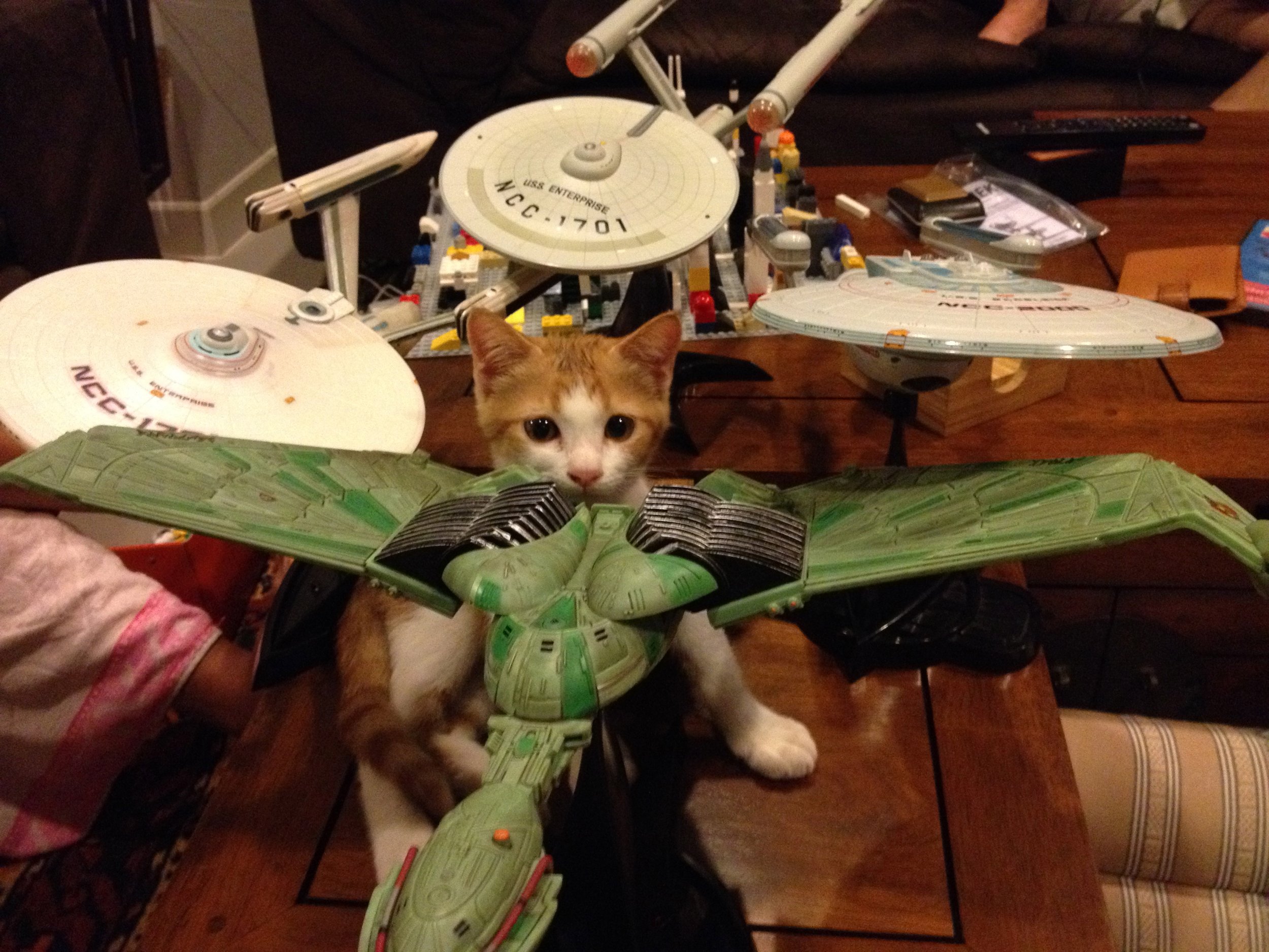 2015 Lanta Road Trip - fun with Jean Luc and other stuff! (239).jpg