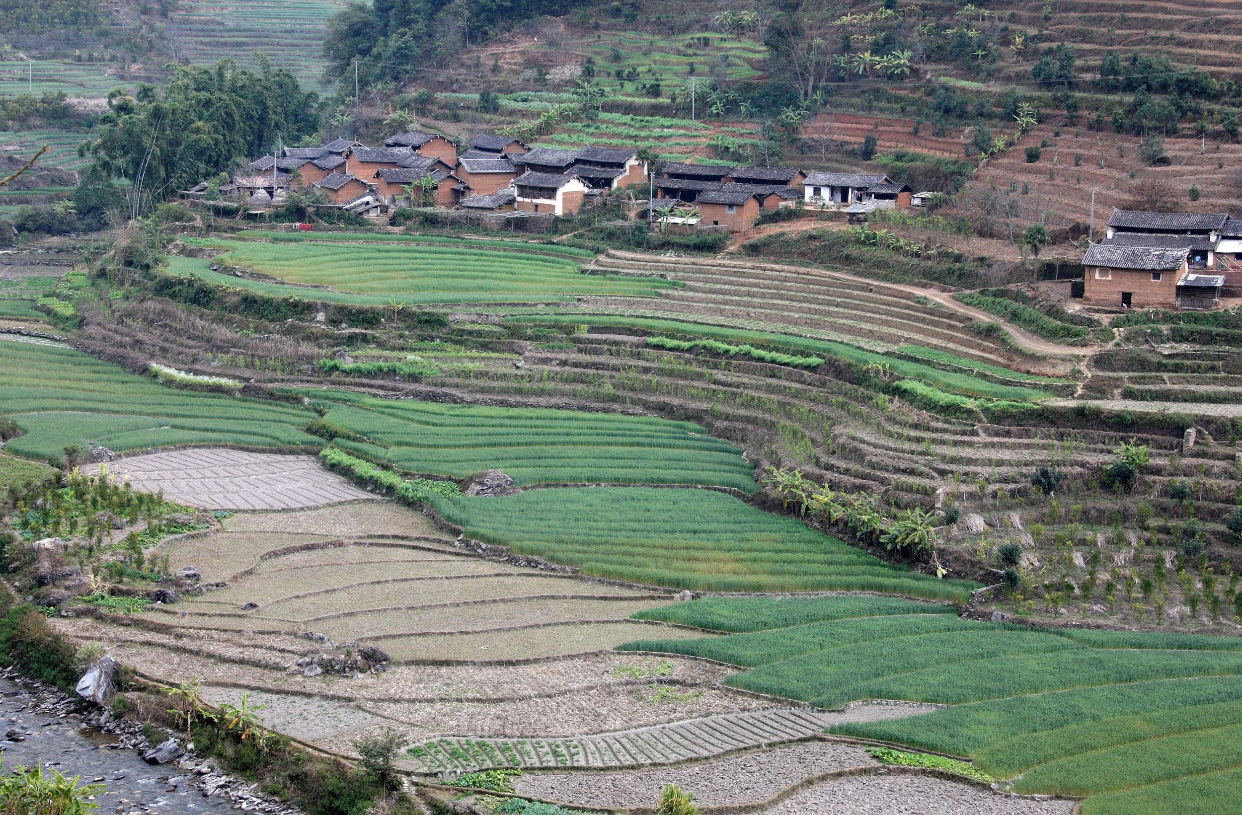 YUNNAN - WULIANGSHAN NATURE RESERVE AND SURROUNDING REGION (32).JPG