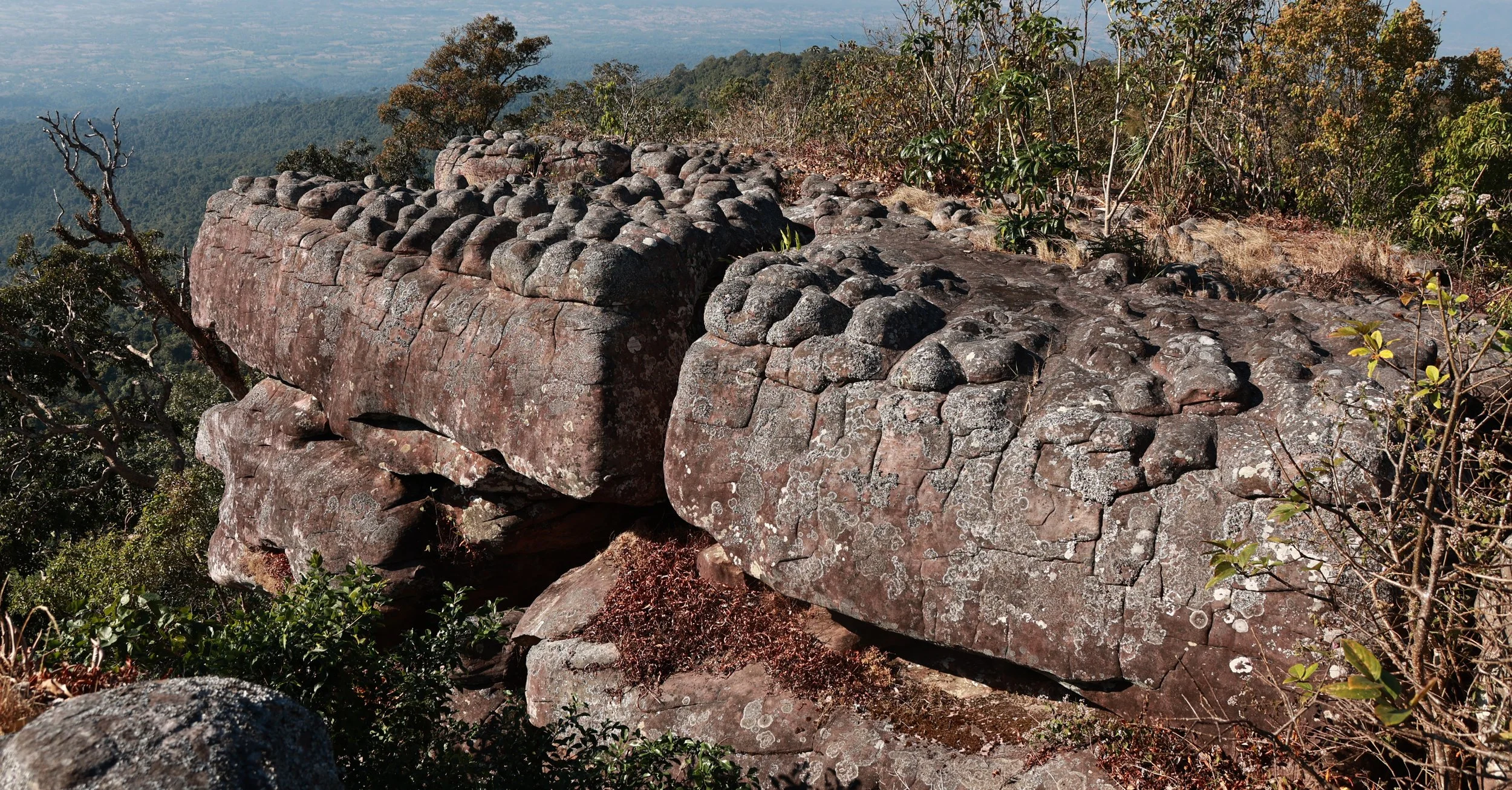 Phu Hin Rong Kla National Park Loei Province (98).jpg