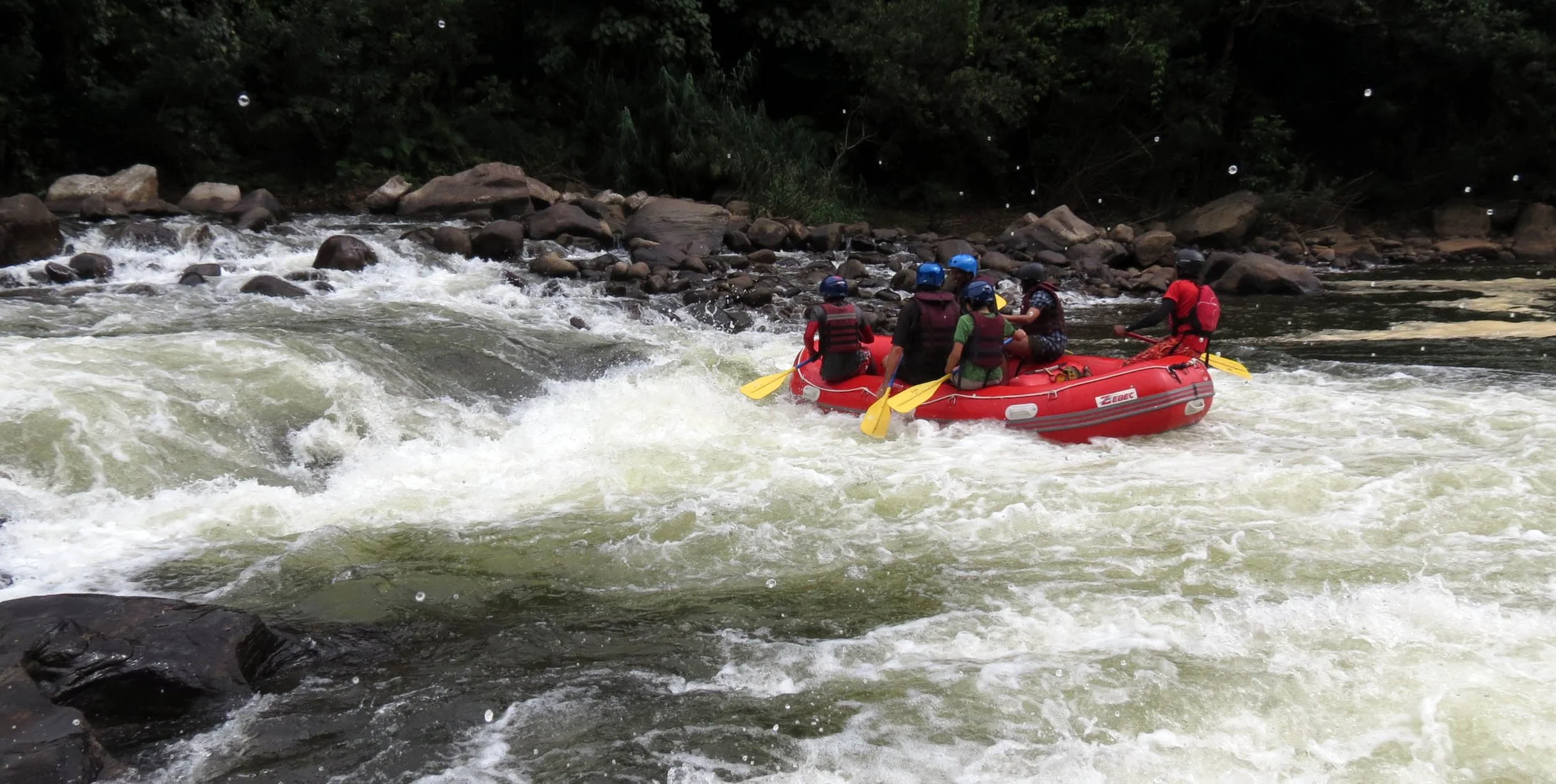 KITULGALA FOREST PRESERVE SRI LANKA (60).JPG
