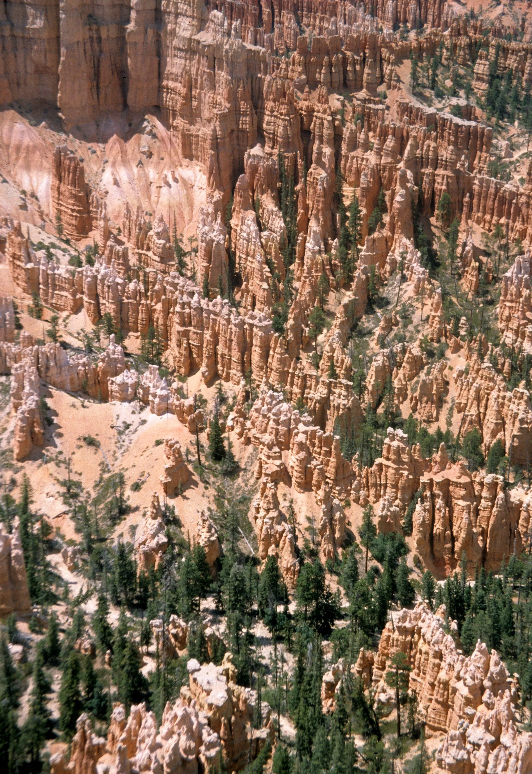 UTAH - BRYCE CANYON N.jpg