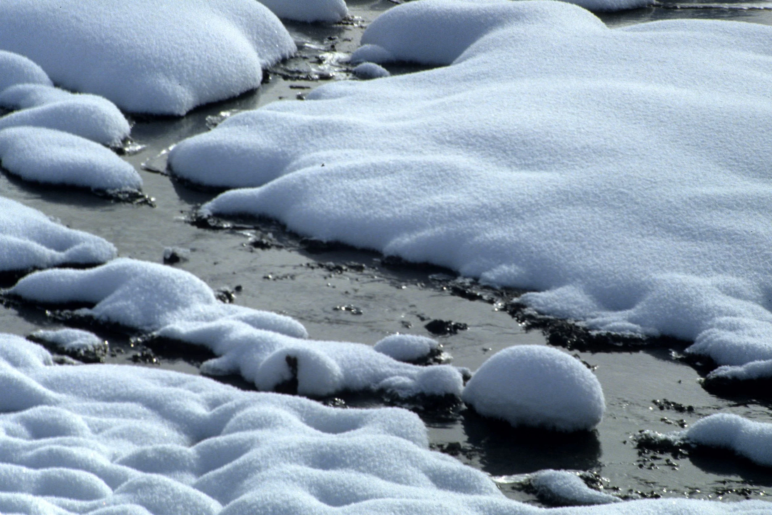 YELLOWSTONE IN WINTER KK.jpg