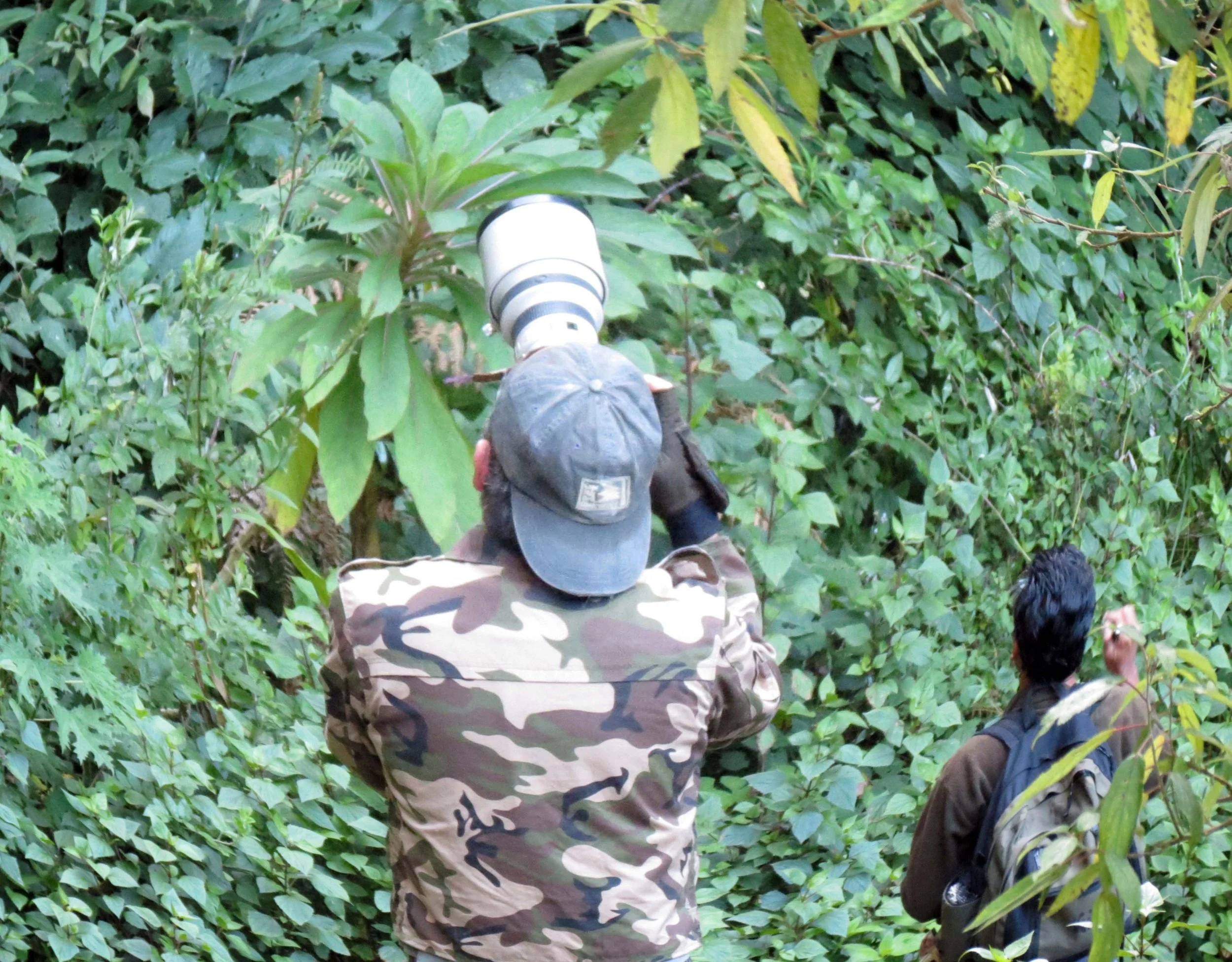 PAMPADUM SHOLA NATIONAL PARK INDIA - VATTAVADA (38).JPG