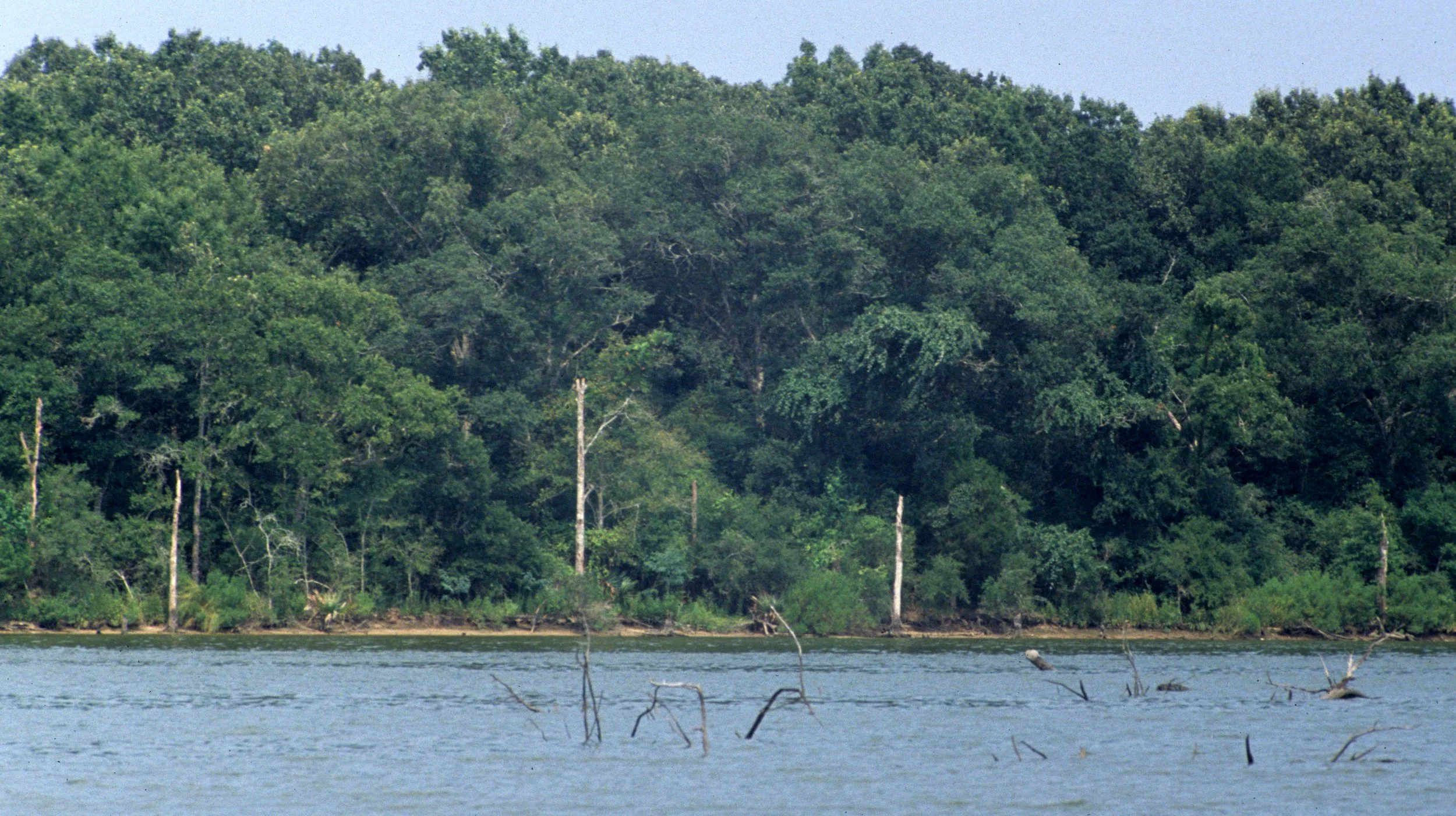 TEXAS - BAJOU - CLEARWATER BAY A.jpg