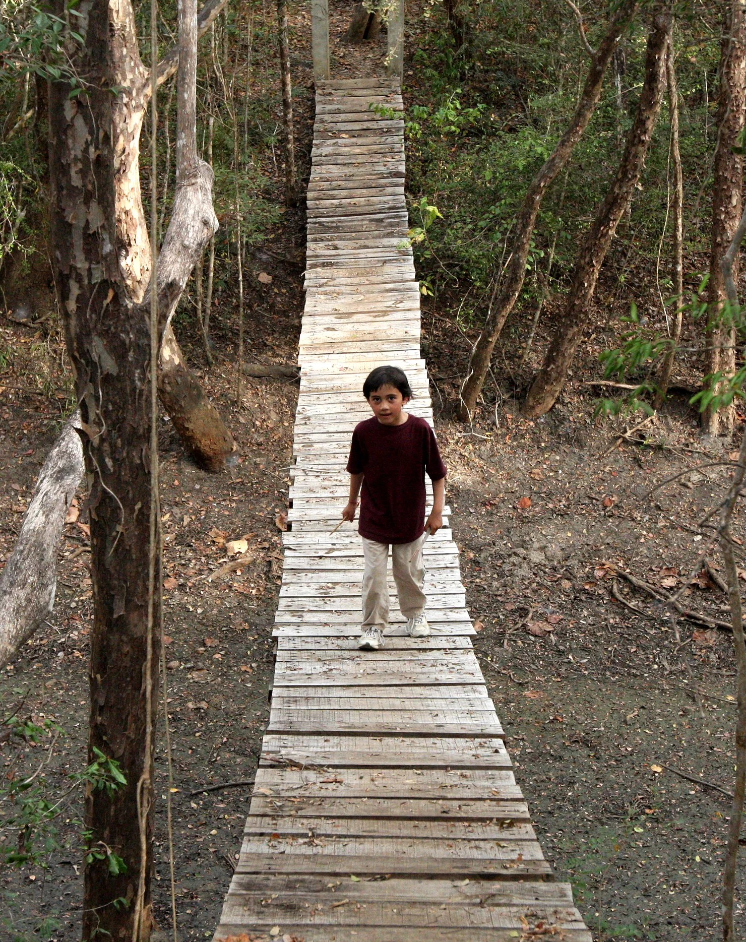 KIRINDY NATIONAL PARK MADAGASCAR - TREKKING THE FOREST (10).JPG
