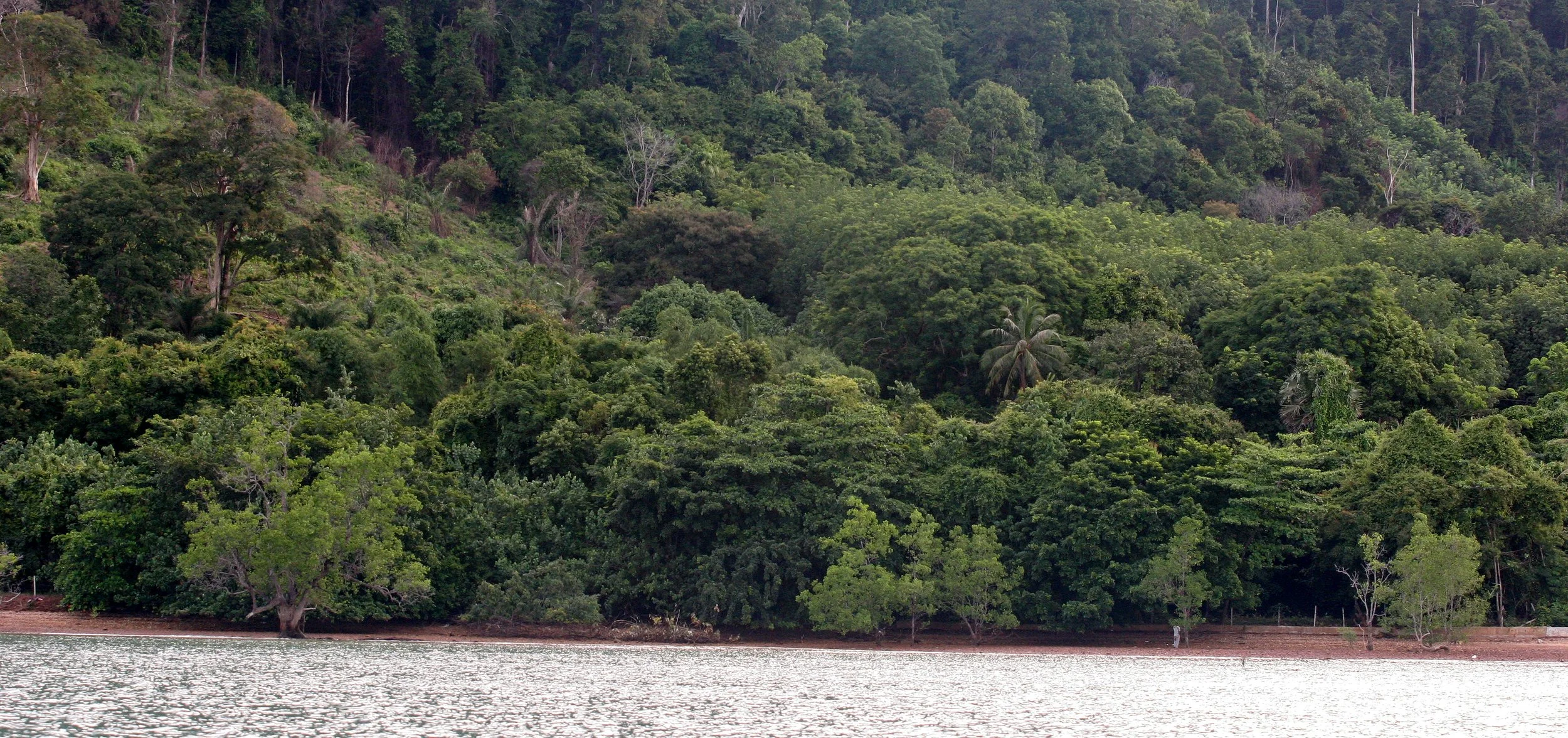 KOH LANTA - 2008 - PROPERTY VIEWS (3).JPG