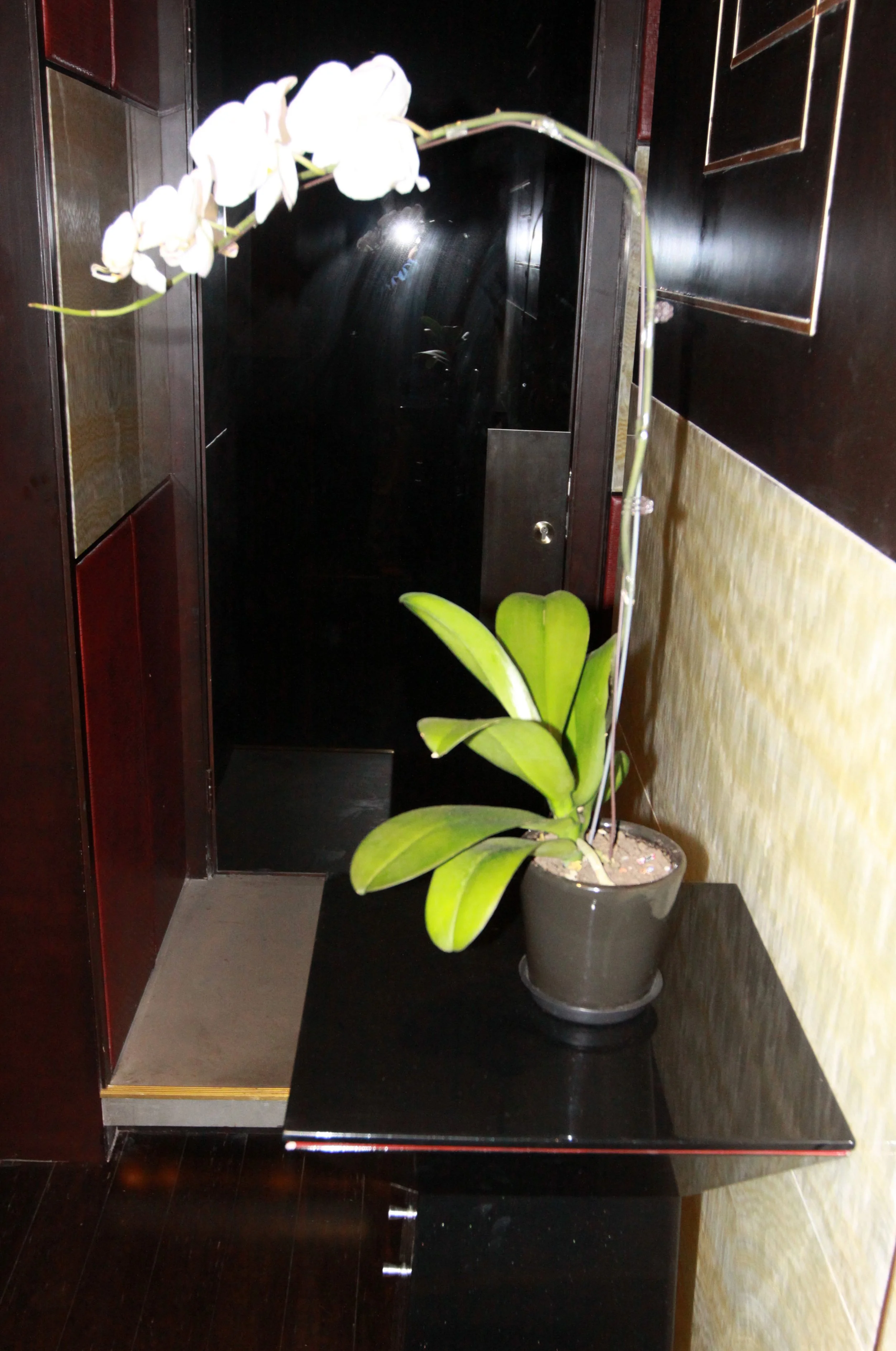 COOKING AT SHOOK ROUND 2 (82).JPG