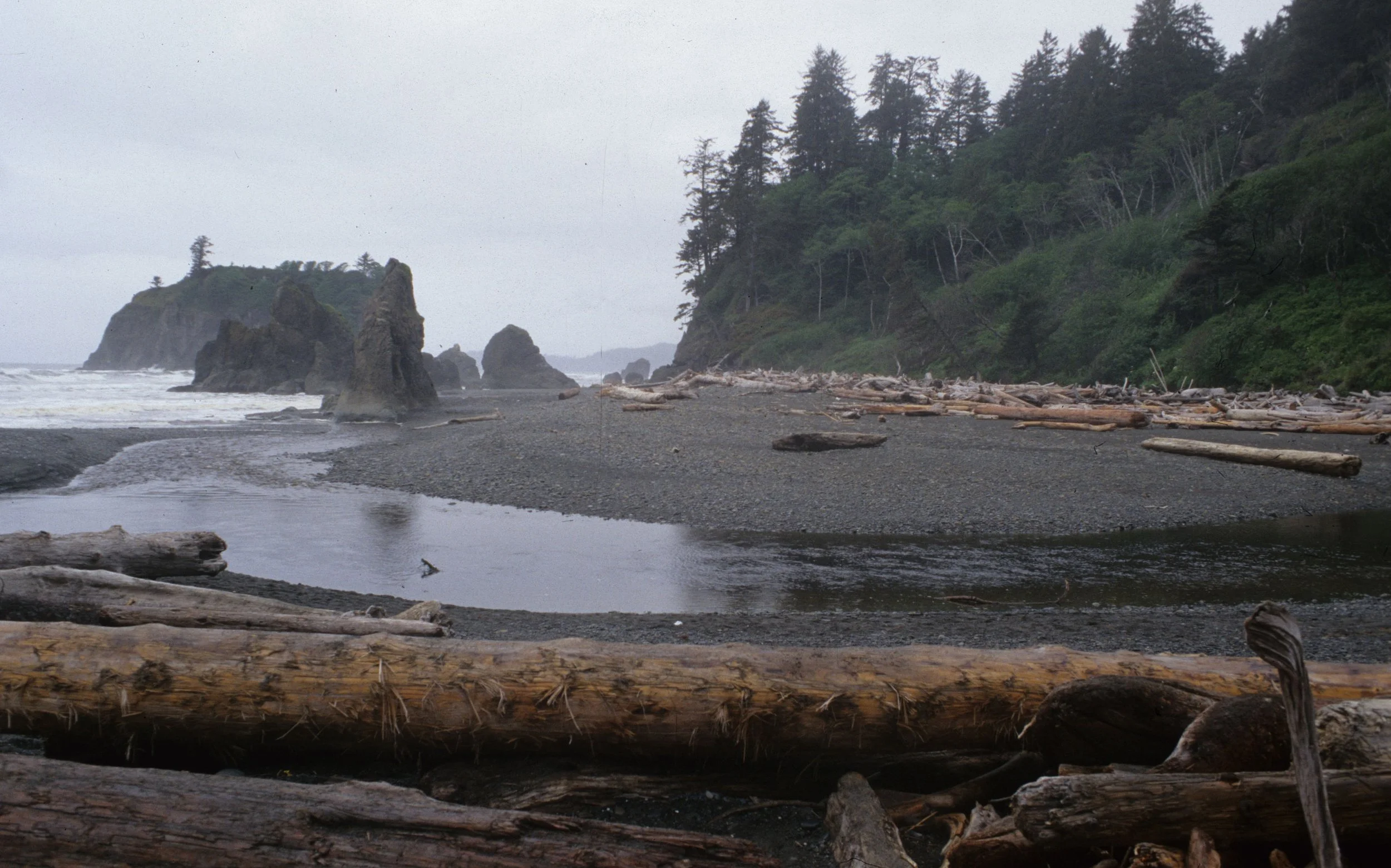 Rialto Beach