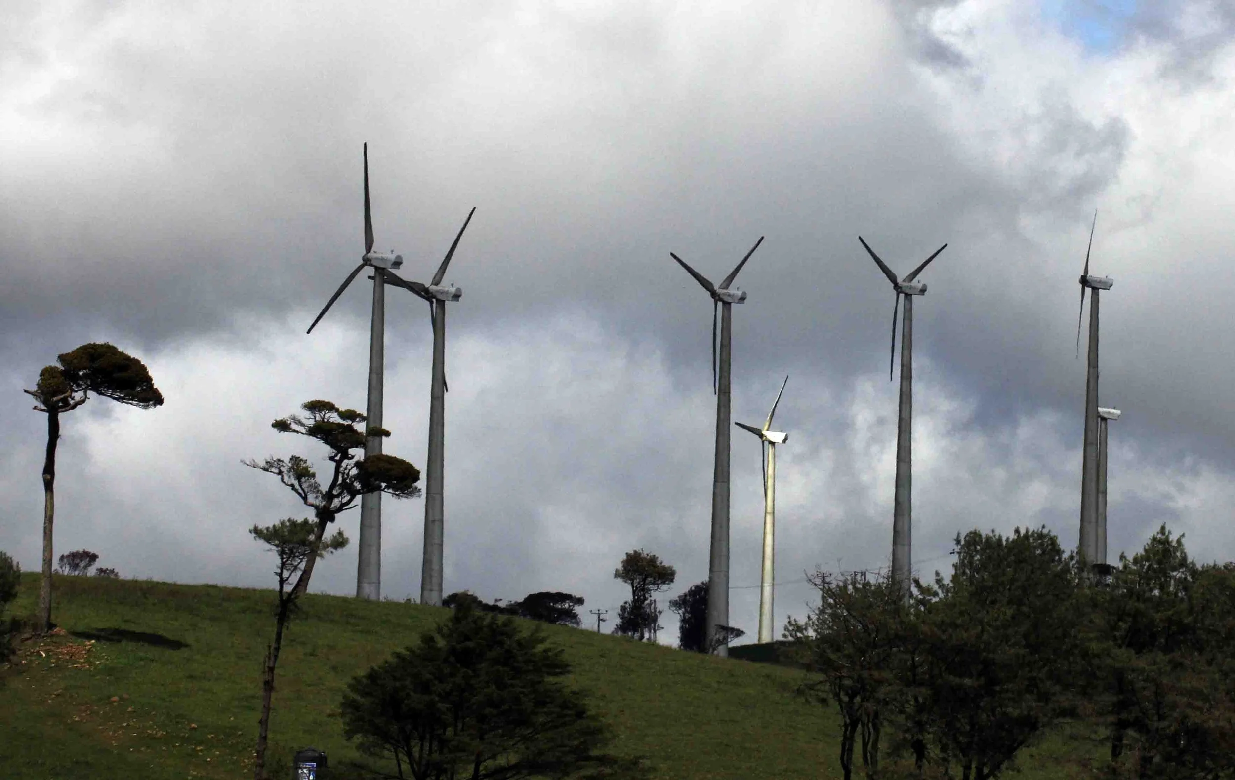 NUWARA ELIYA， HORTON PLAINS NATIONAL PARK,  SRI LANKA (42).JPG