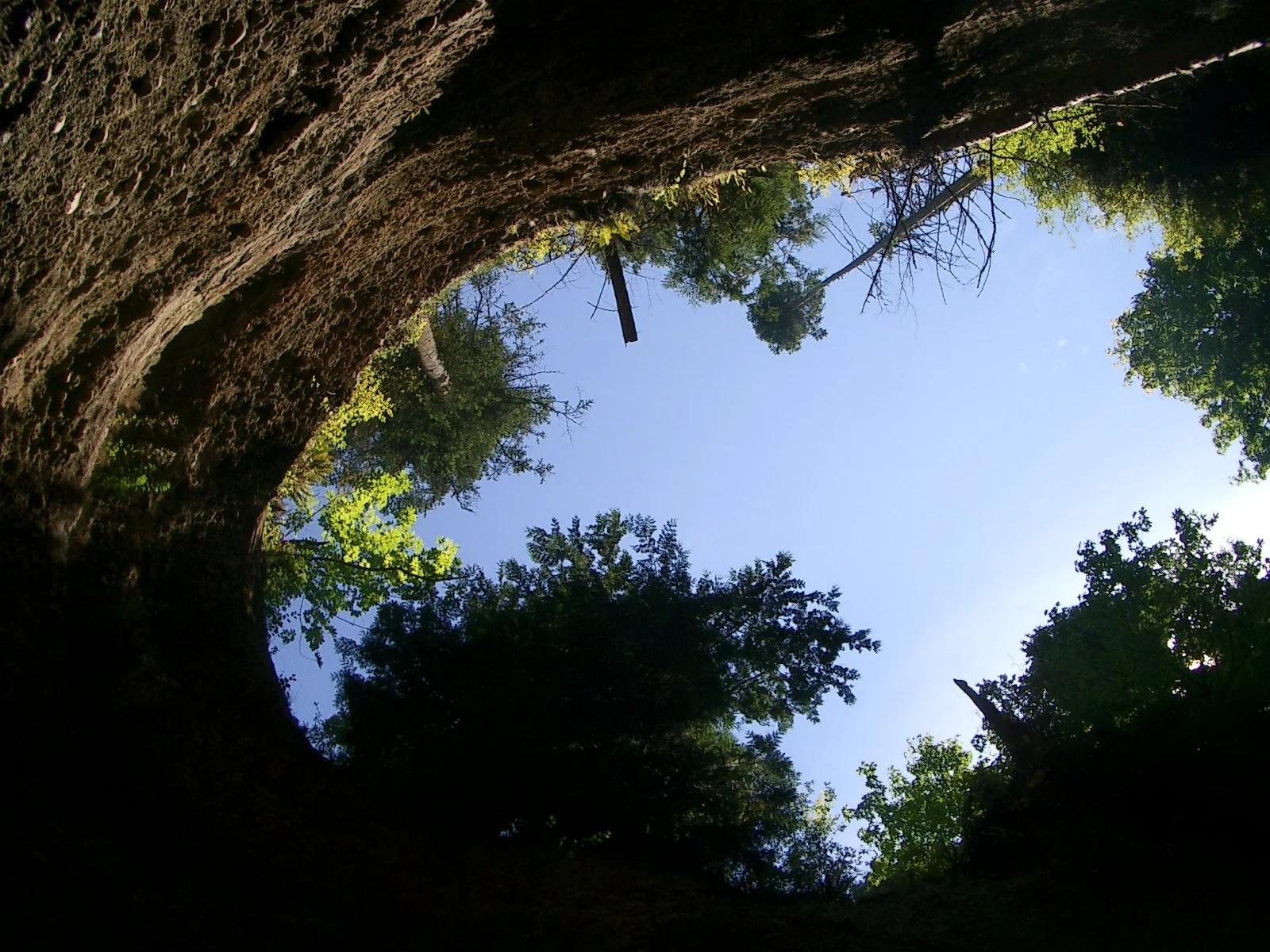 2003-7-31 FAMILY REUNION IN WASHINGTON AND CANADA (202).JPG